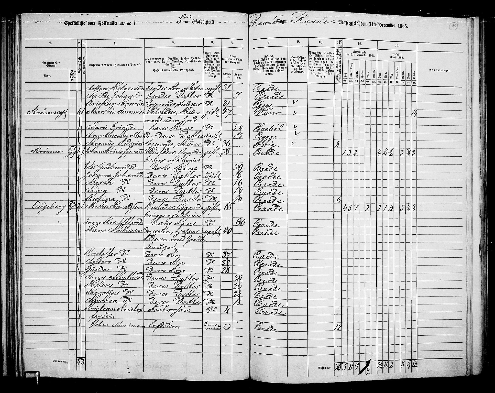 RA, 1865 census for Råde, 1865, p. 81