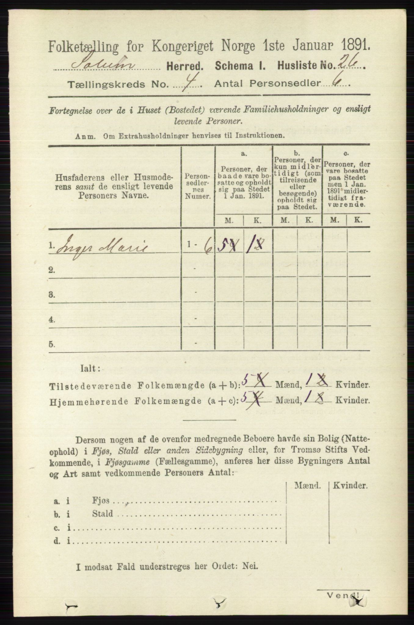 RA, 1891 census for 0818 Solum, 1891, p. 613