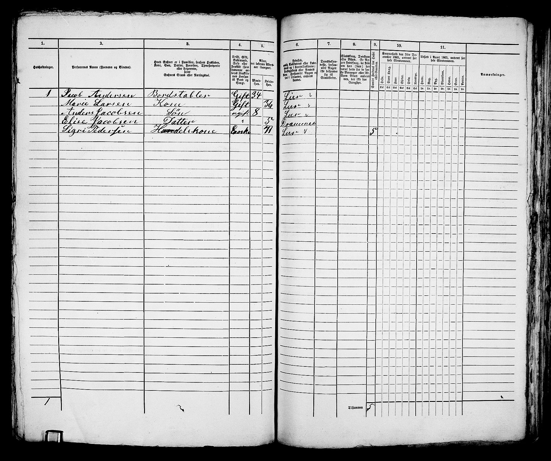 RA, 1865 census for Bragernes in Drammen, 1865, p. 1045