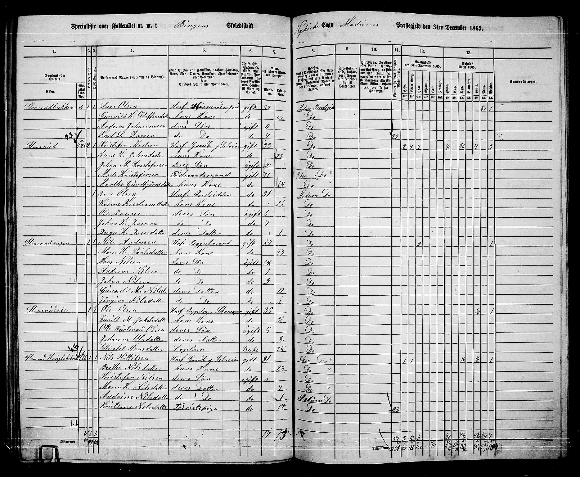 RA, 1865 census for Modum, 1865, p. 285