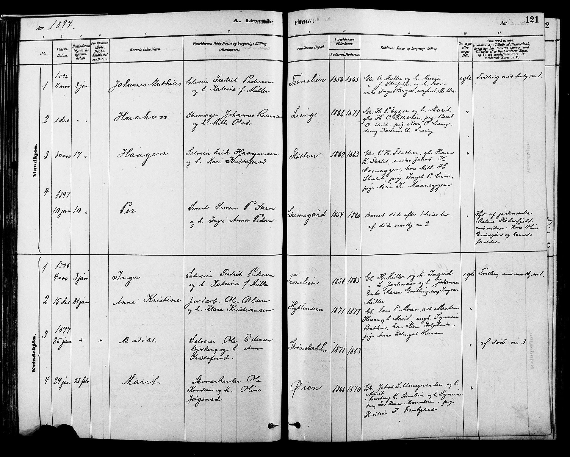 Alvdal prestekontor, SAH/PREST-060/H/Ha/Hab/L0003: Parish register (copy) no. 3, 1878-1907, p. 121