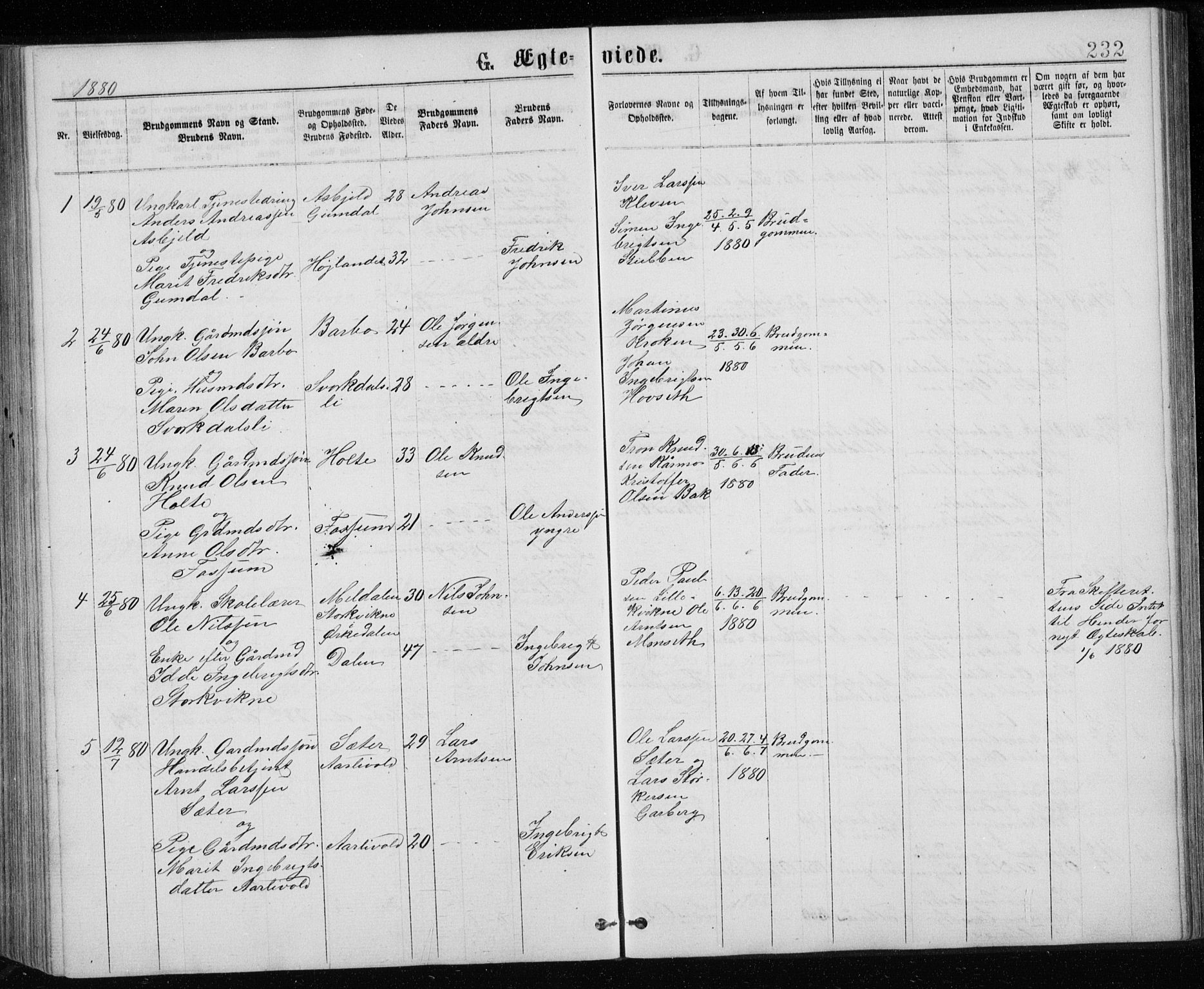 Ministerialprotokoller, klokkerbøker og fødselsregistre - Sør-Trøndelag, AV/SAT-A-1456/671/L0843: Parish register (copy) no. 671C02, 1873-1892, p. 232