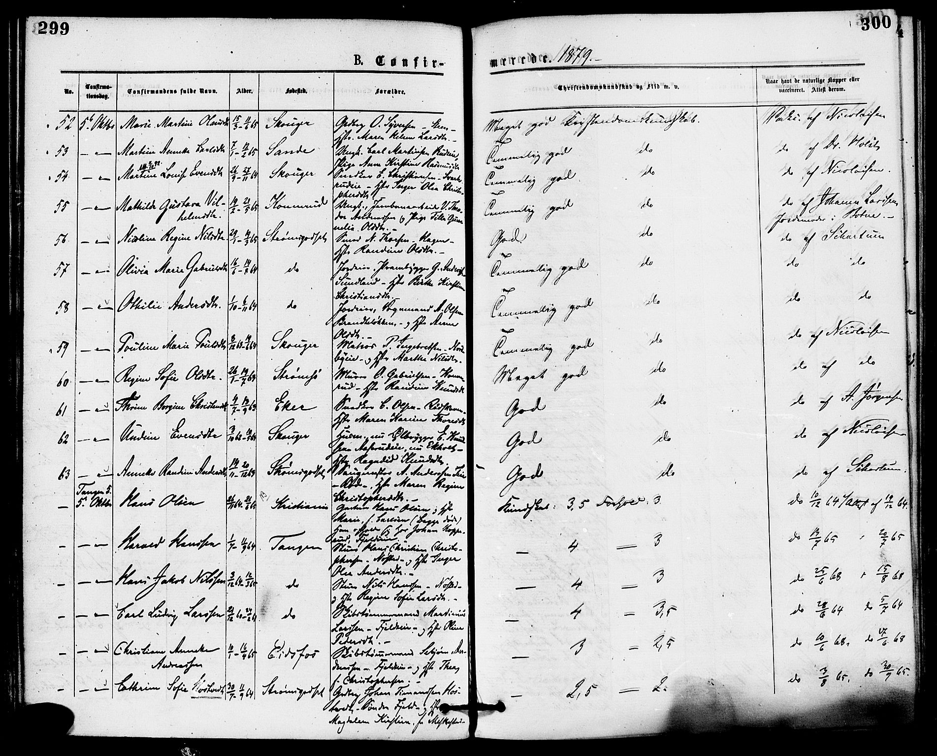 Skoger kirkebøker, AV/SAKO-A-59/F/Fa/L0005: Parish register (official) no. I 5, 1873-1884, p. 299-300