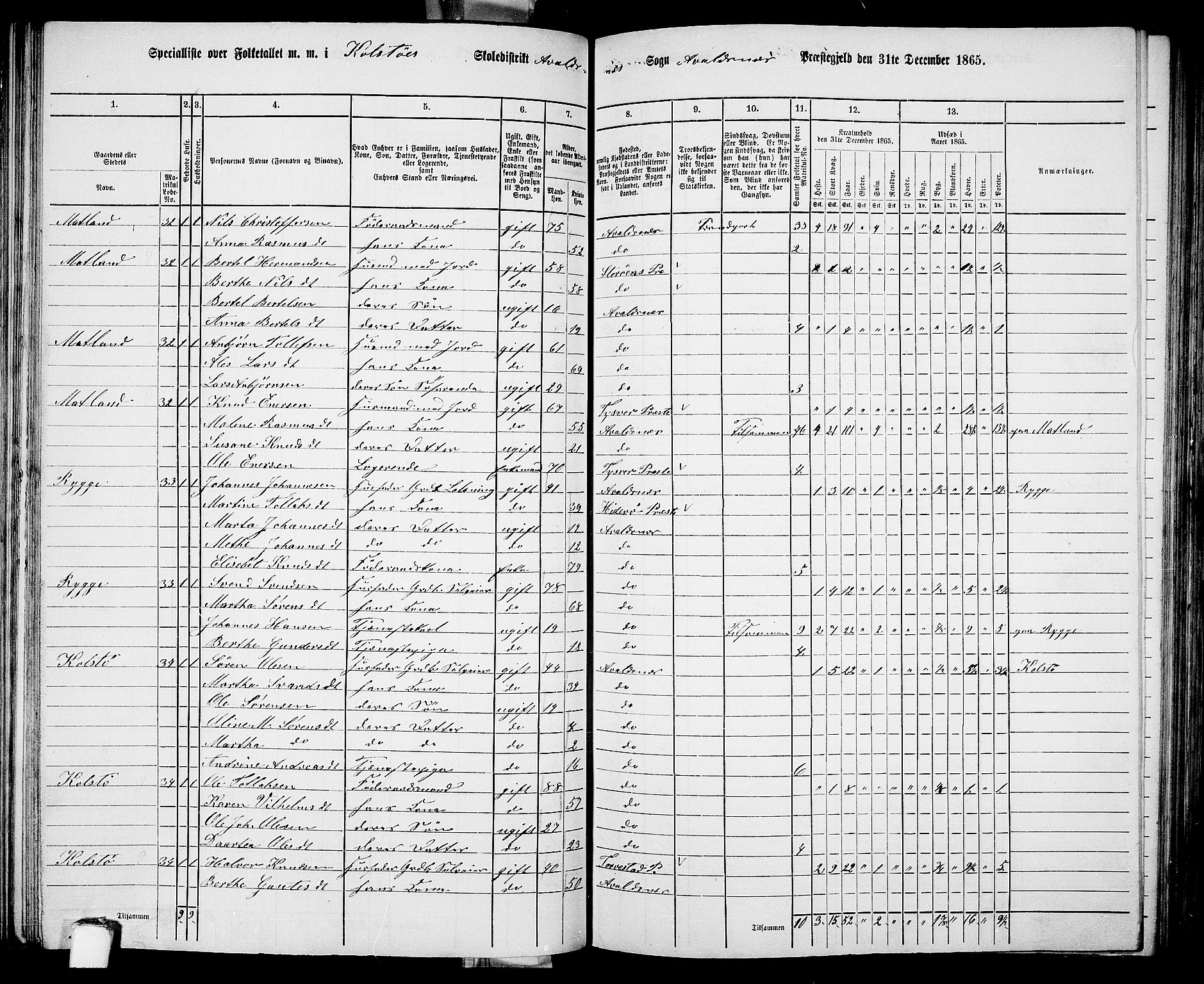 RA, 1865 census for Avaldsnes, 1865, p. 123