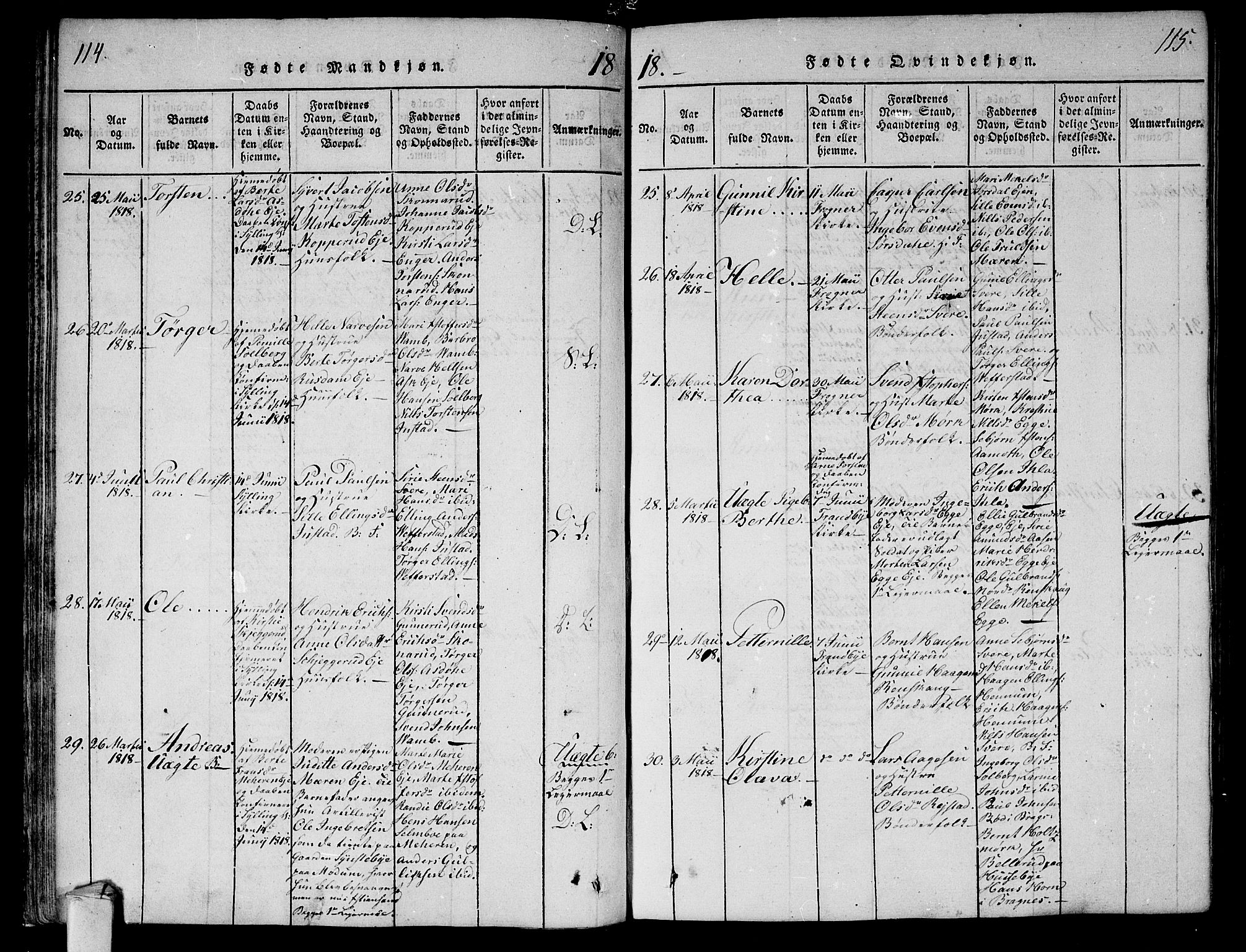 Lier kirkebøker, SAKO/A-230/F/Fa/L0008: Parish register (official) no. I 8, 1813-1825, p. 114-115