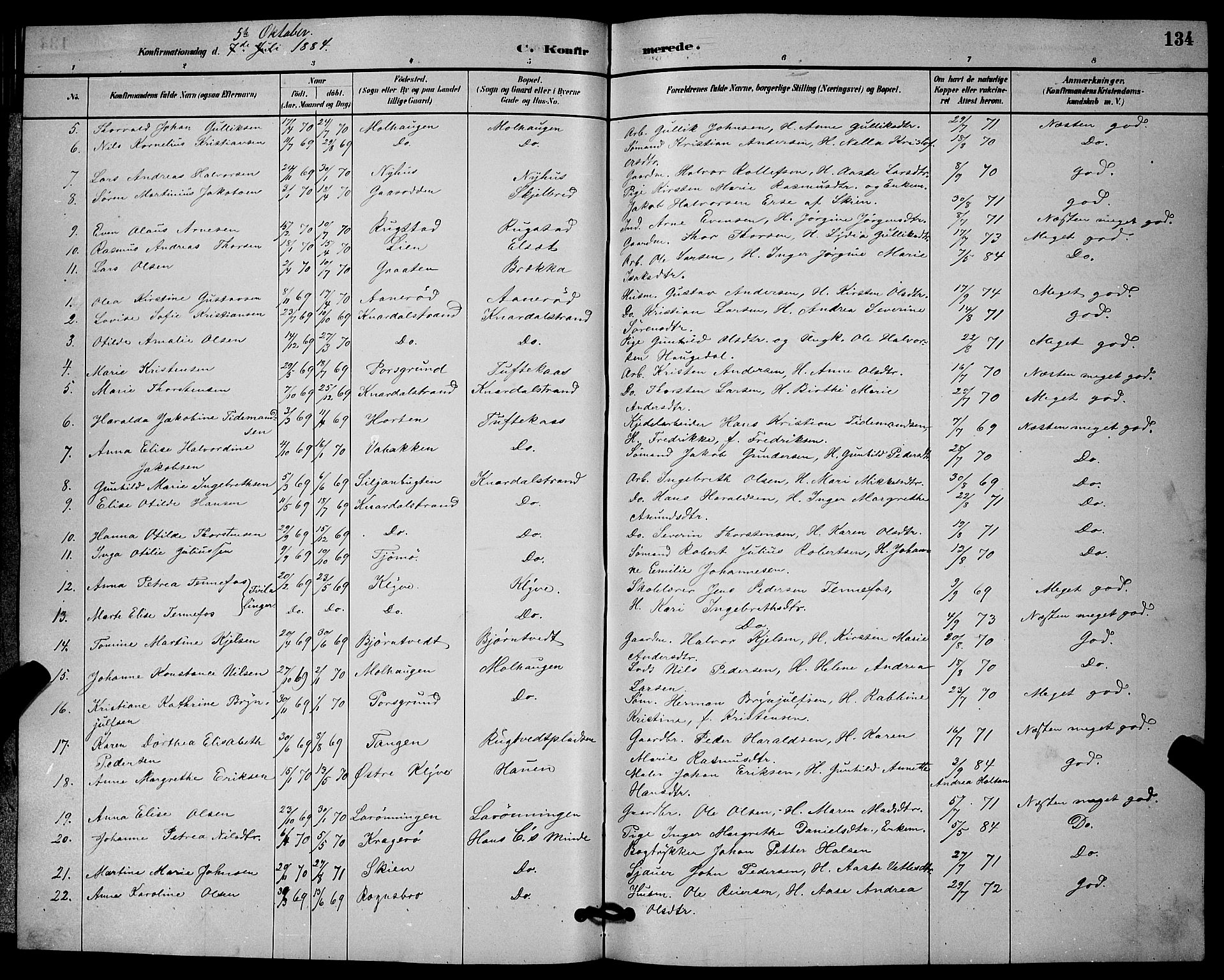 Solum kirkebøker, SAKO/A-306/G/Ga/L0007: Parish register (copy) no. I 7, 1884-1898, p. 134
