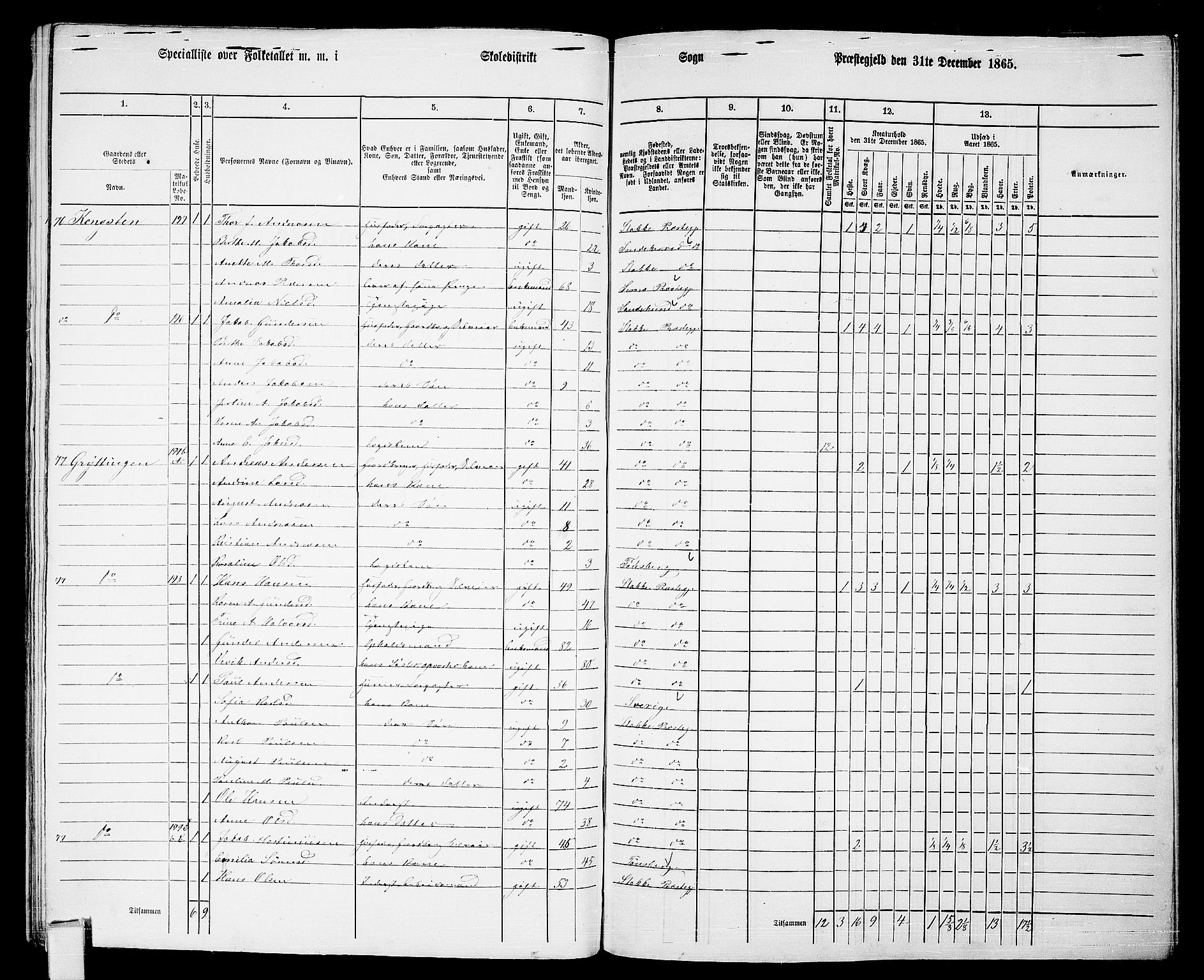 RA, 1865 census for Stokke, 1865, p. 143