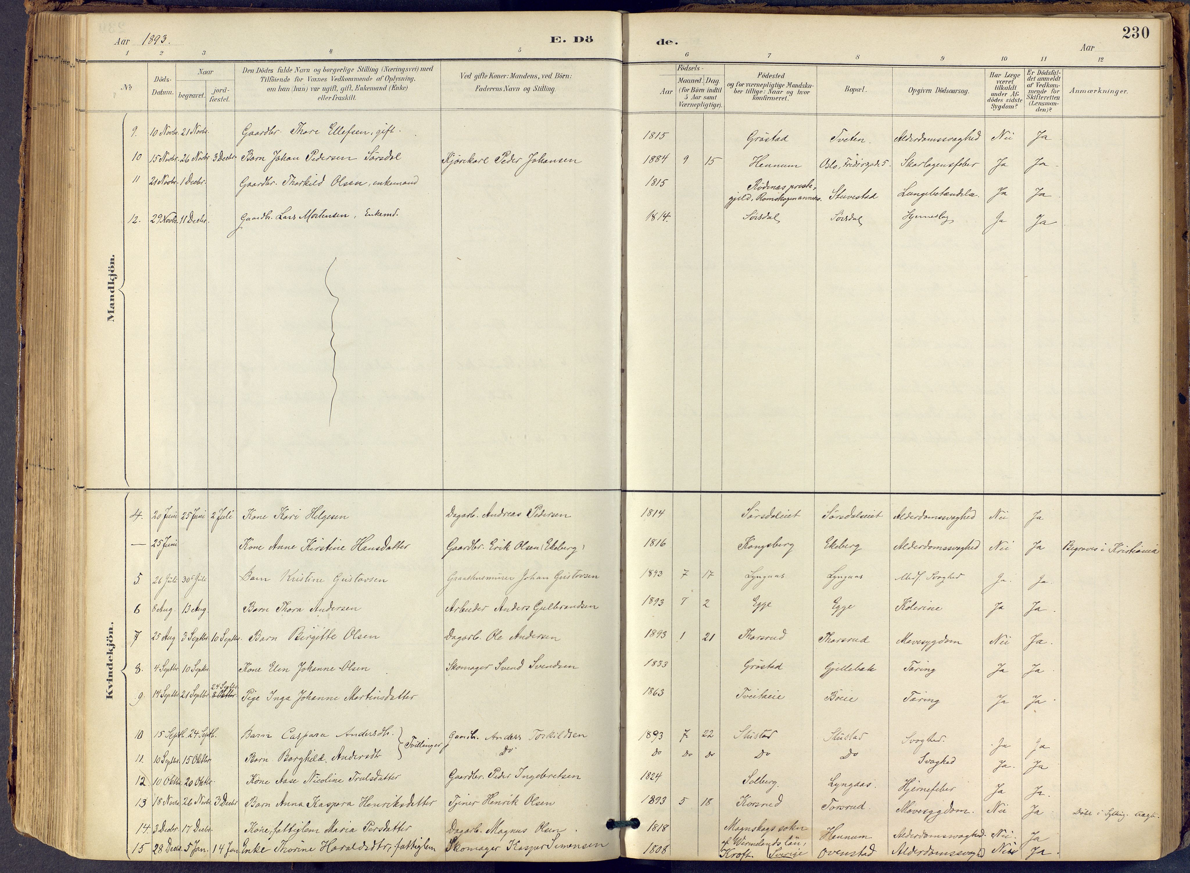 Lier kirkebøker, AV/SAKO-A-230/F/Fb/L0001: Parish register (official) no. II 1, 1883-1910, p. 230