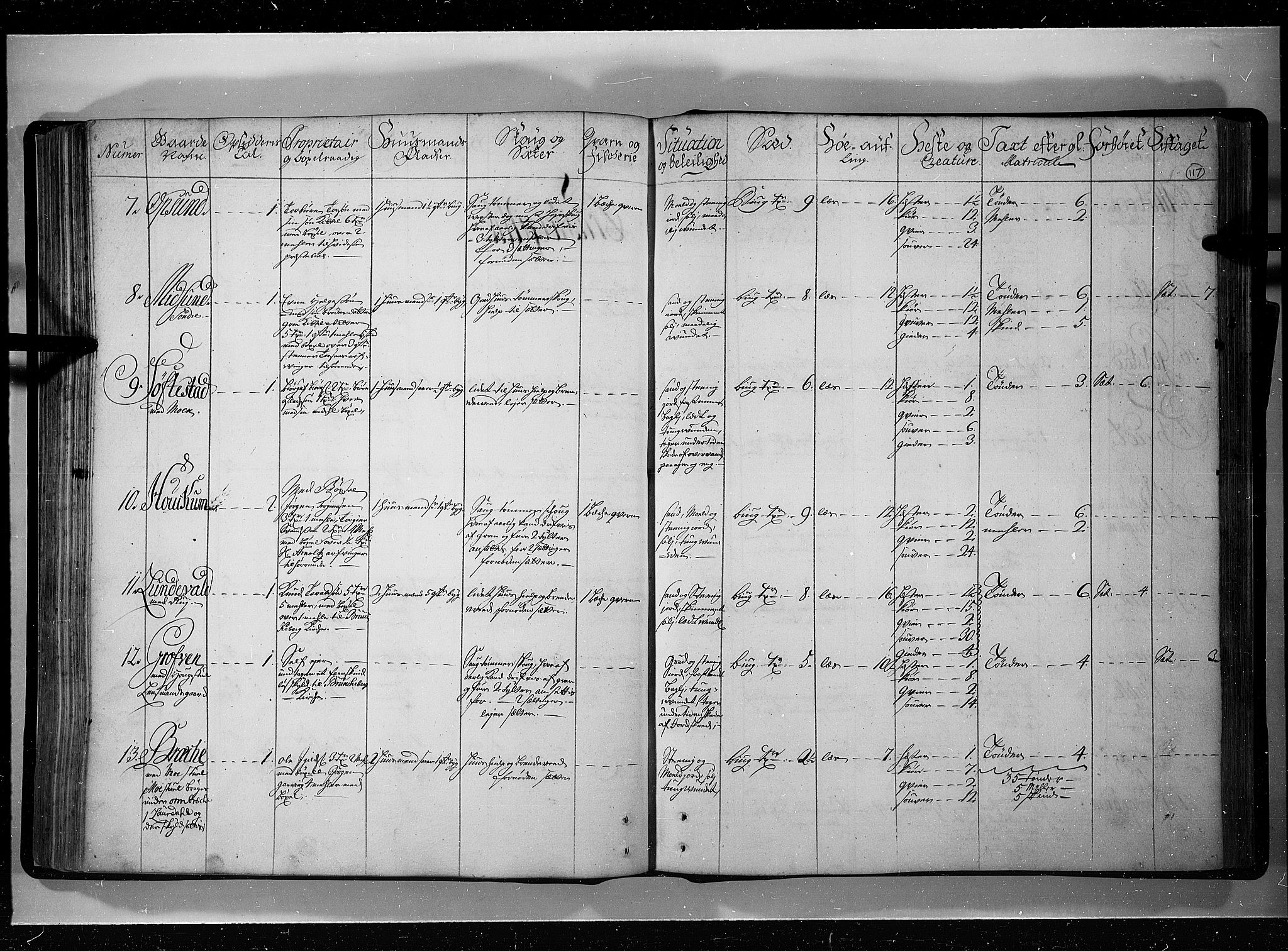 Rentekammeret inntil 1814, Realistisk ordnet avdeling, RA/EA-4070/N/Nb/Nbf/L0121: Øvre og Nedre Telemark eksaminasjonsprotokoll, 1723, p. 116b-117a