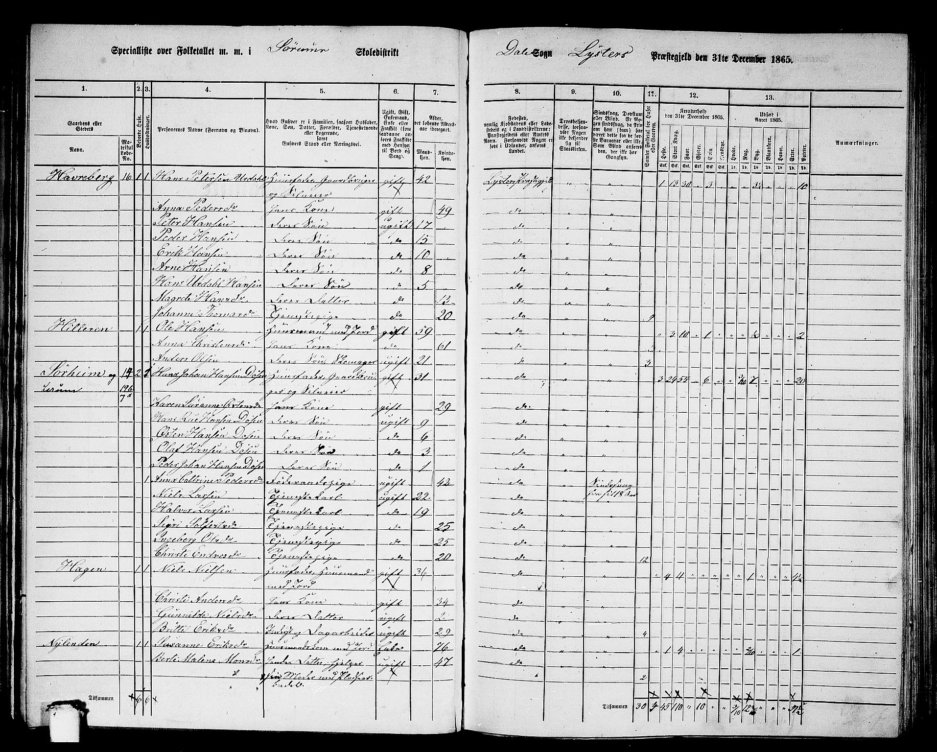 RA, 1865 census for Luster, 1865, p. 57