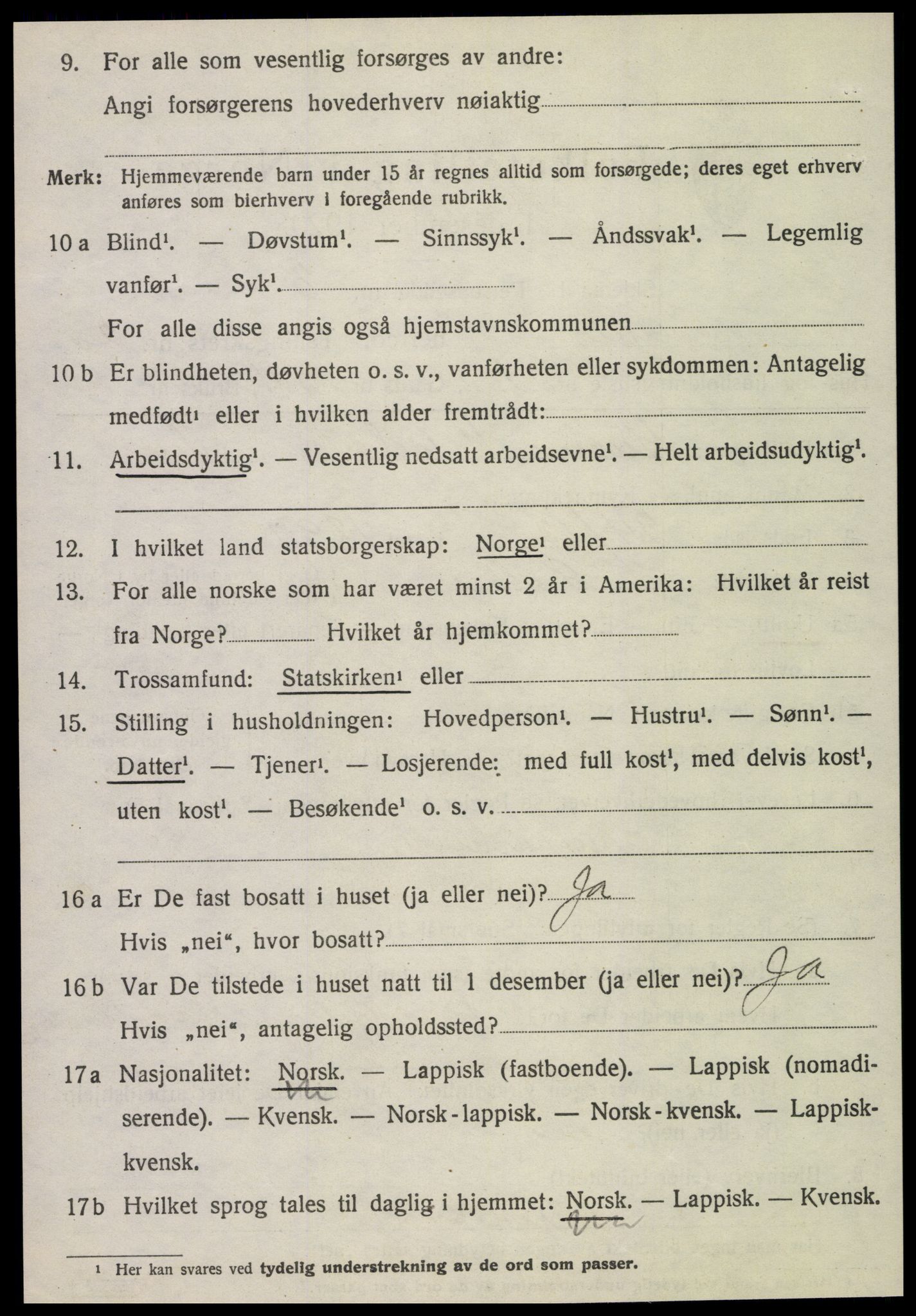 SAT, 1920 census for Selbu, 1920, p. 10213