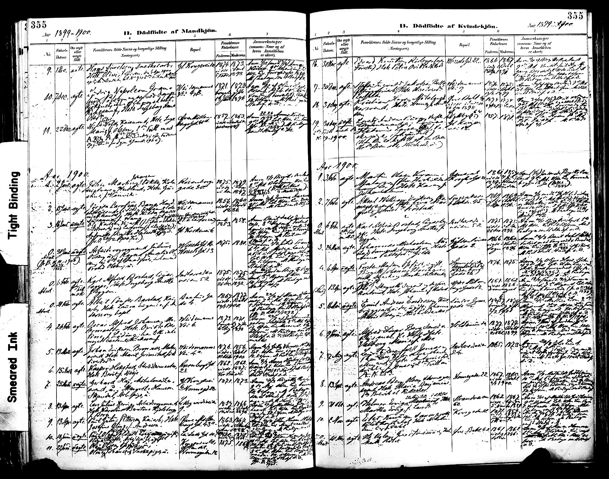 Ministerialprotokoller, klokkerbøker og fødselsregistre - Sør-Trøndelag, SAT/A-1456/604/L0197: Parish register (official) no. 604A18, 1893-1900, p. 355