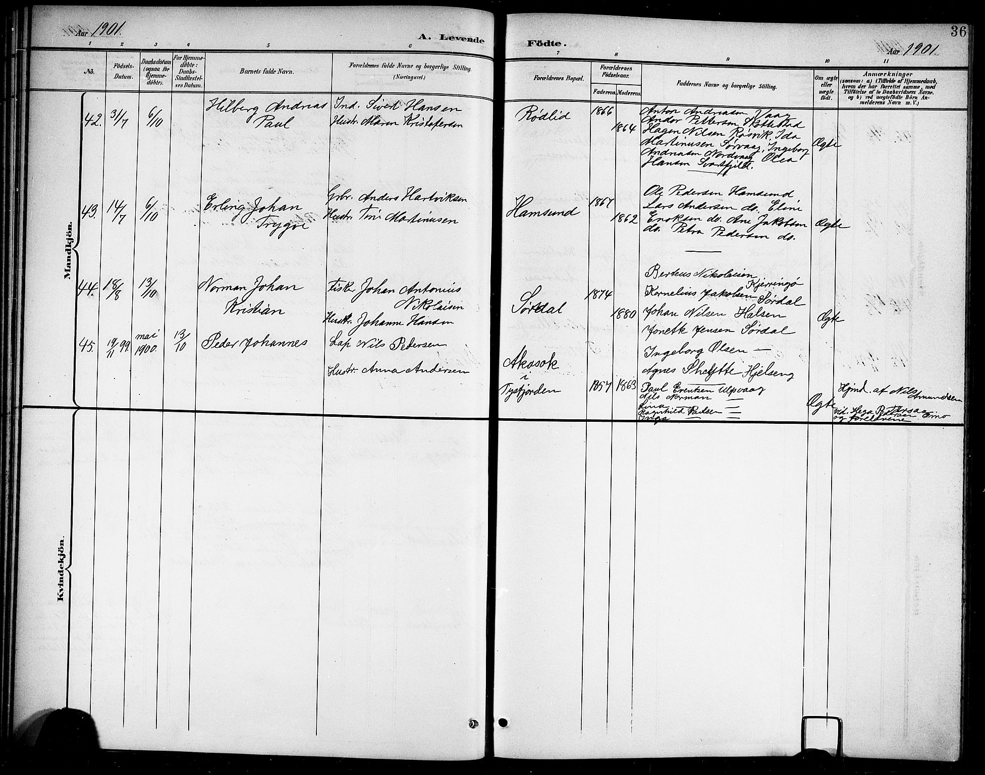 Ministerialprotokoller, klokkerbøker og fødselsregistre - Nordland, AV/SAT-A-1459/859/L0860: Parish register (copy) no. 859C06, 1899-1909, p. 36