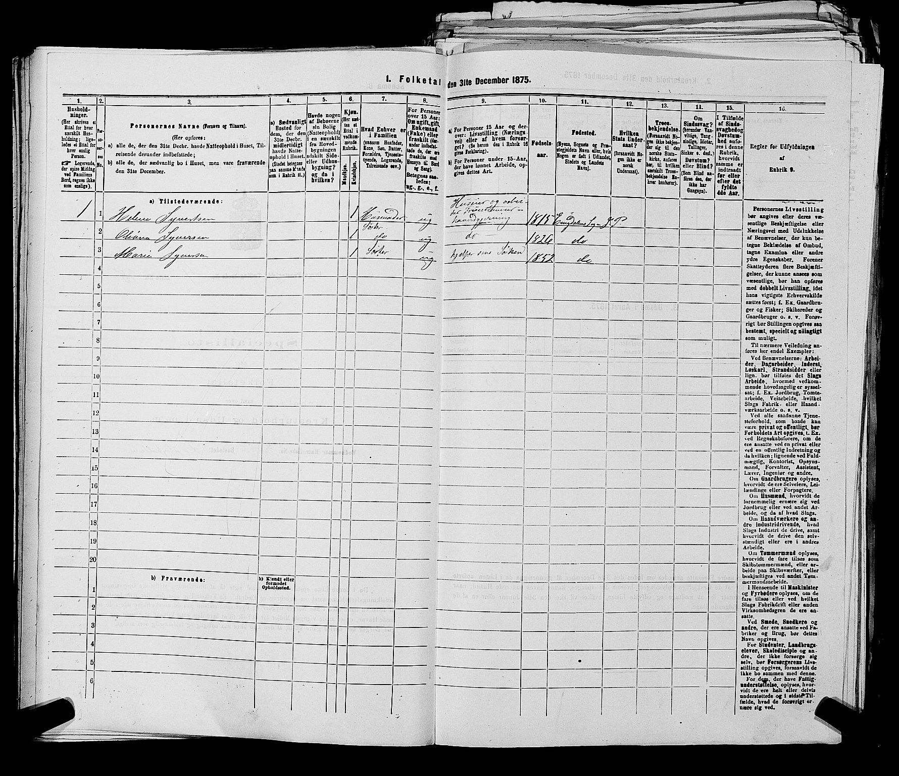 RA, 1875 census for 0116P Berg, 1875, p. 480