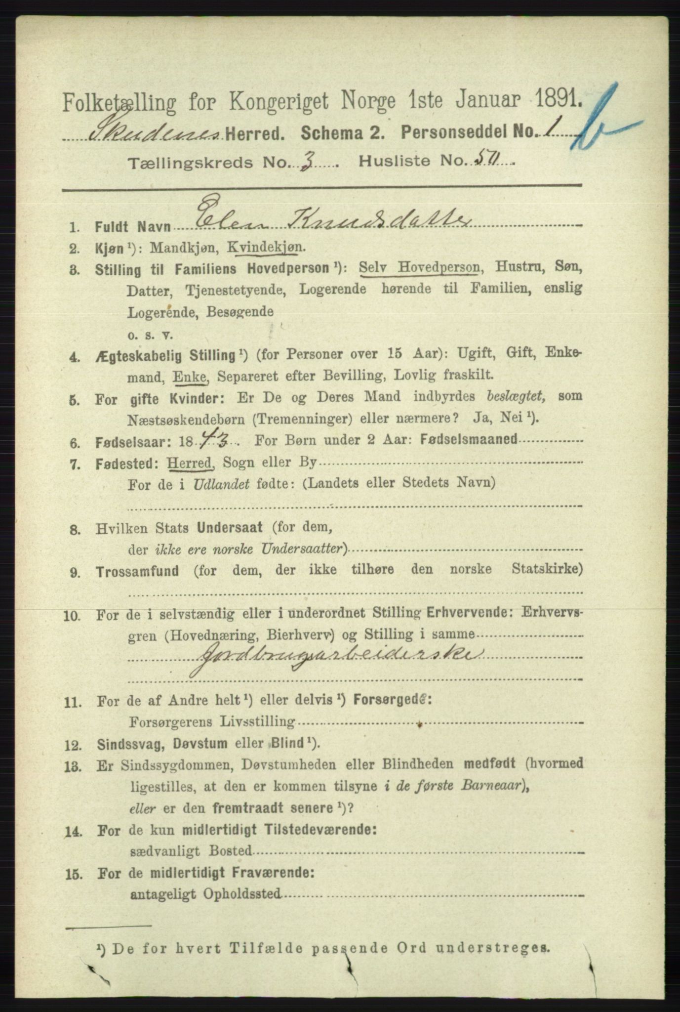 RA, 1891 census for 1150 Skudenes, 1891, p. 4256