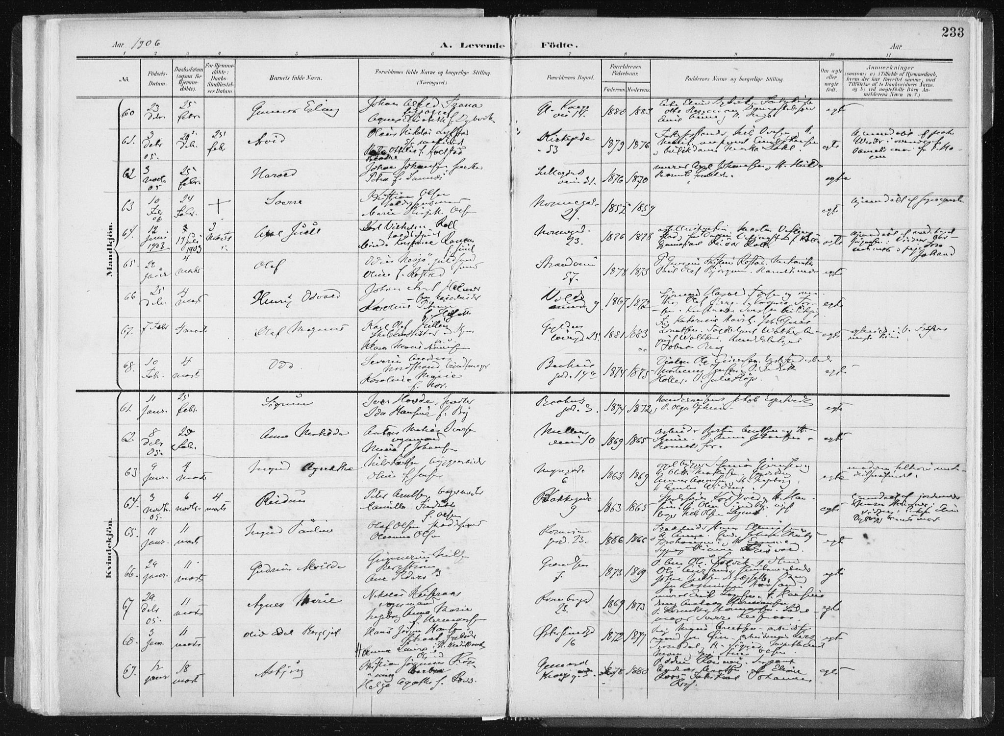 Ministerialprotokoller, klokkerbøker og fødselsregistre - Sør-Trøndelag, AV/SAT-A-1456/604/L0199: Parish register (official) no. 604A20I, 1901-1906, p. 233