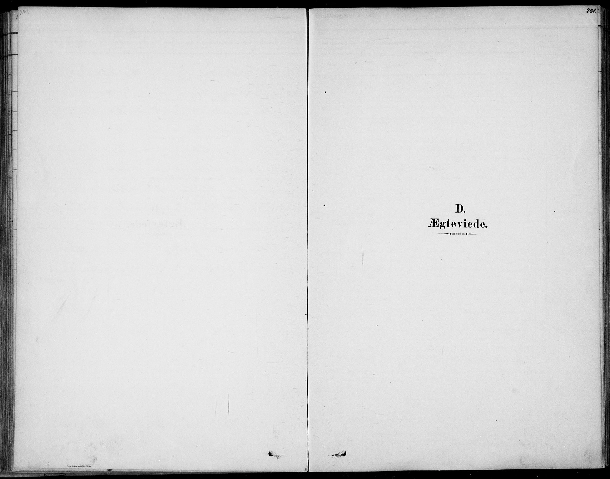 Sem kirkebøker, SAKO/A-5/F/Fb/L0004: Parish register (official) no. II 4, 1878-1891, p. 221