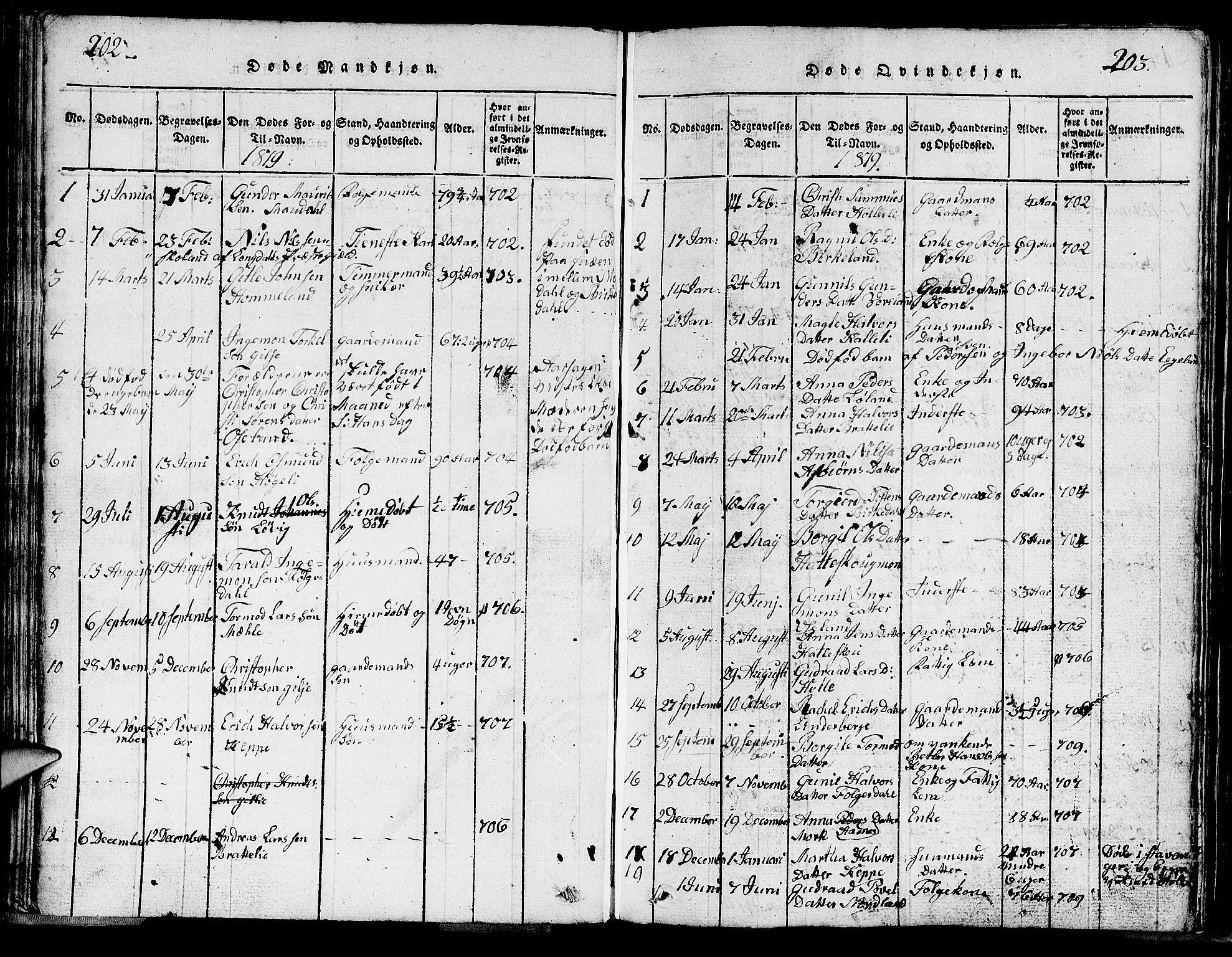 Strand sokneprestkontor, SAST/A-101828/H/Ha/Hab/L0002: Parish register (copy) no. B 2, 1816-1854, p. 202-203