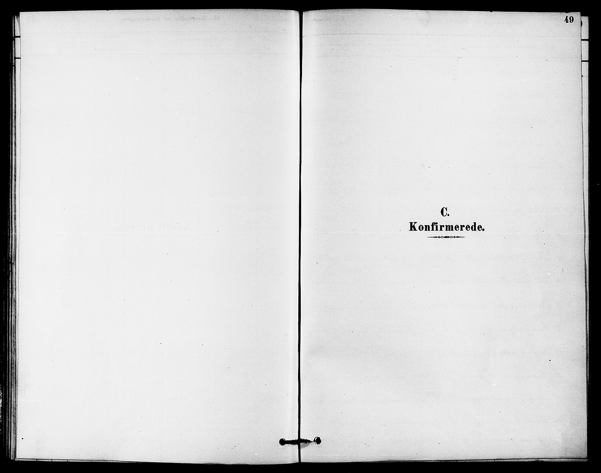 Jelsa sokneprestkontor, AV/SAST-A-101842/01/IV: Parish register (official) no. A 9, 1878-1898, p. 49