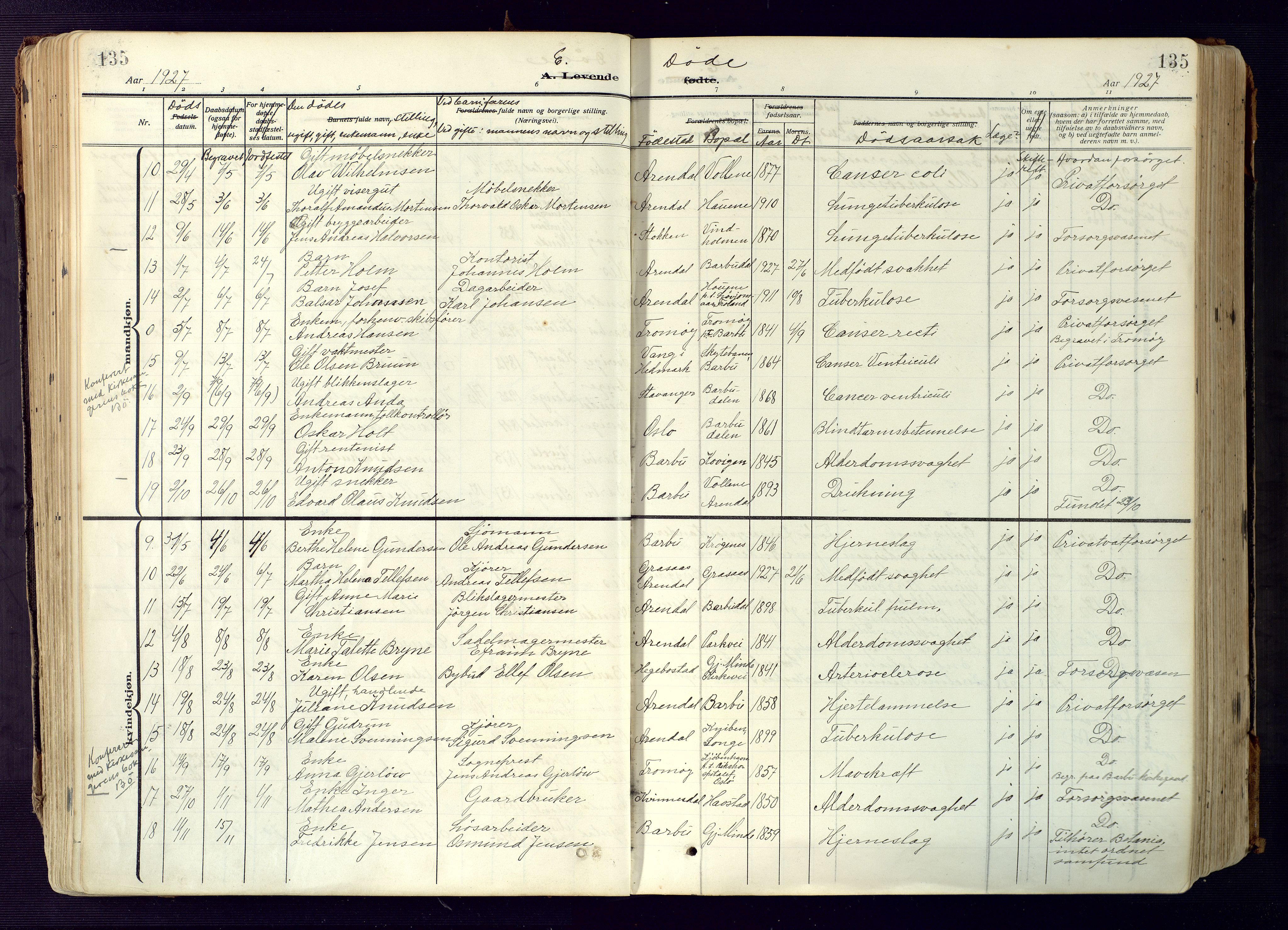 Barbu sokneprestkontor, SAK/1111-0003/F/Fa/L0006: Parish register (official) no. A 6, 1910-1929, p. 135