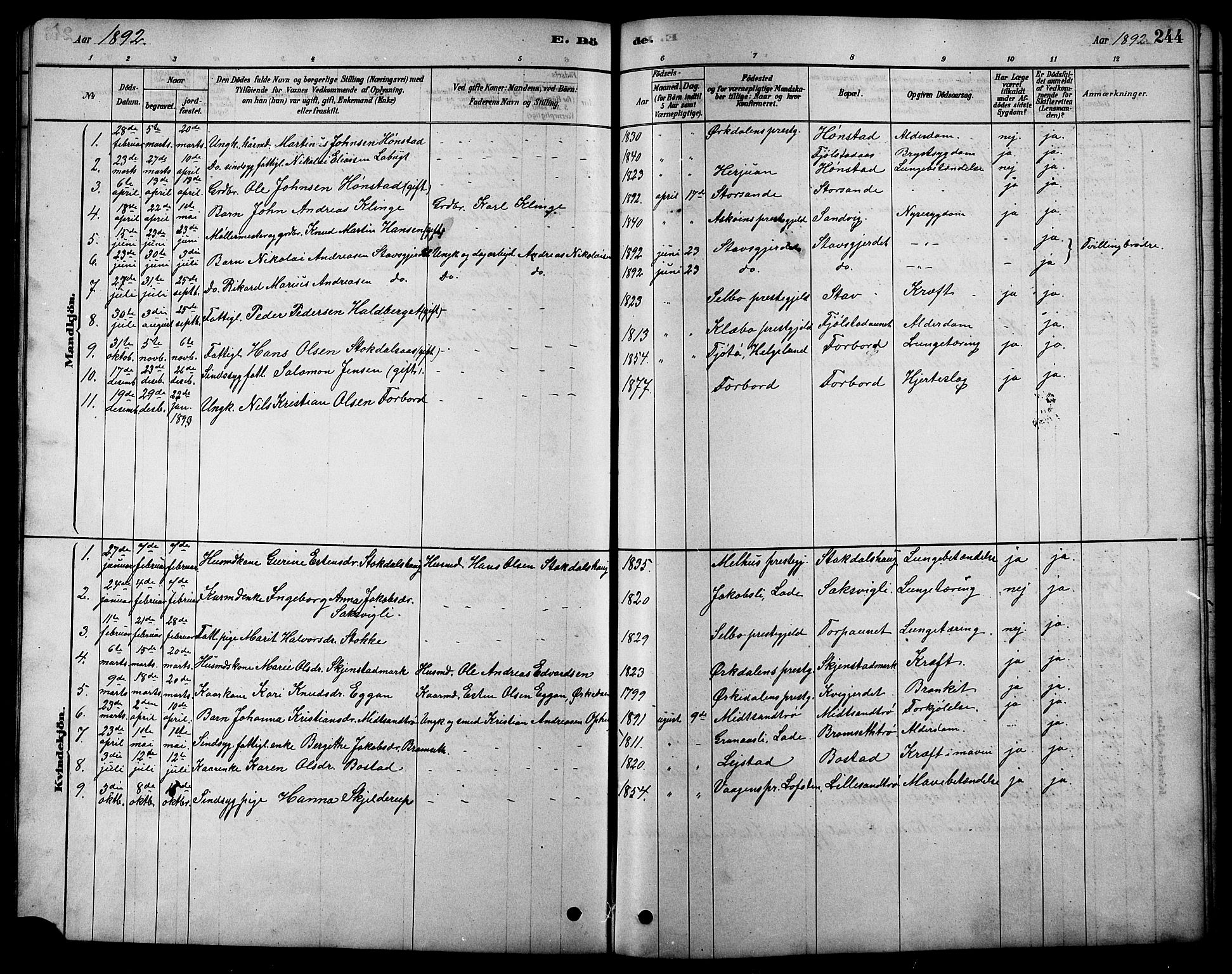 Ministerialprotokoller, klokkerbøker og fødselsregistre - Sør-Trøndelag, SAT/A-1456/616/L0423: Parish register (copy) no. 616C06, 1878-1903, p. 244