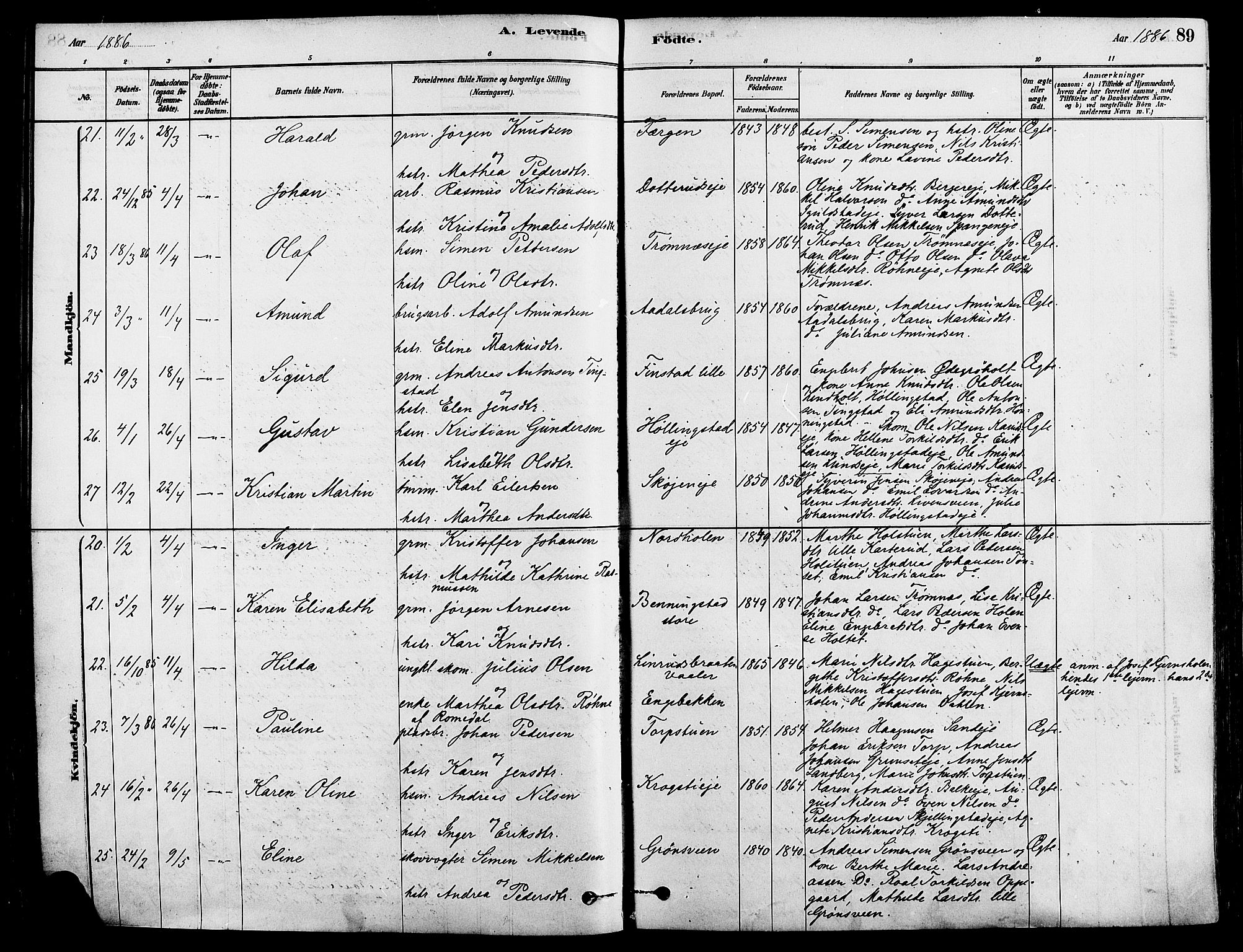 Løten prestekontor, AV/SAH-PREST-022/K/Ka/L0009: Parish register (official) no. 9, 1878-1891, p. 89