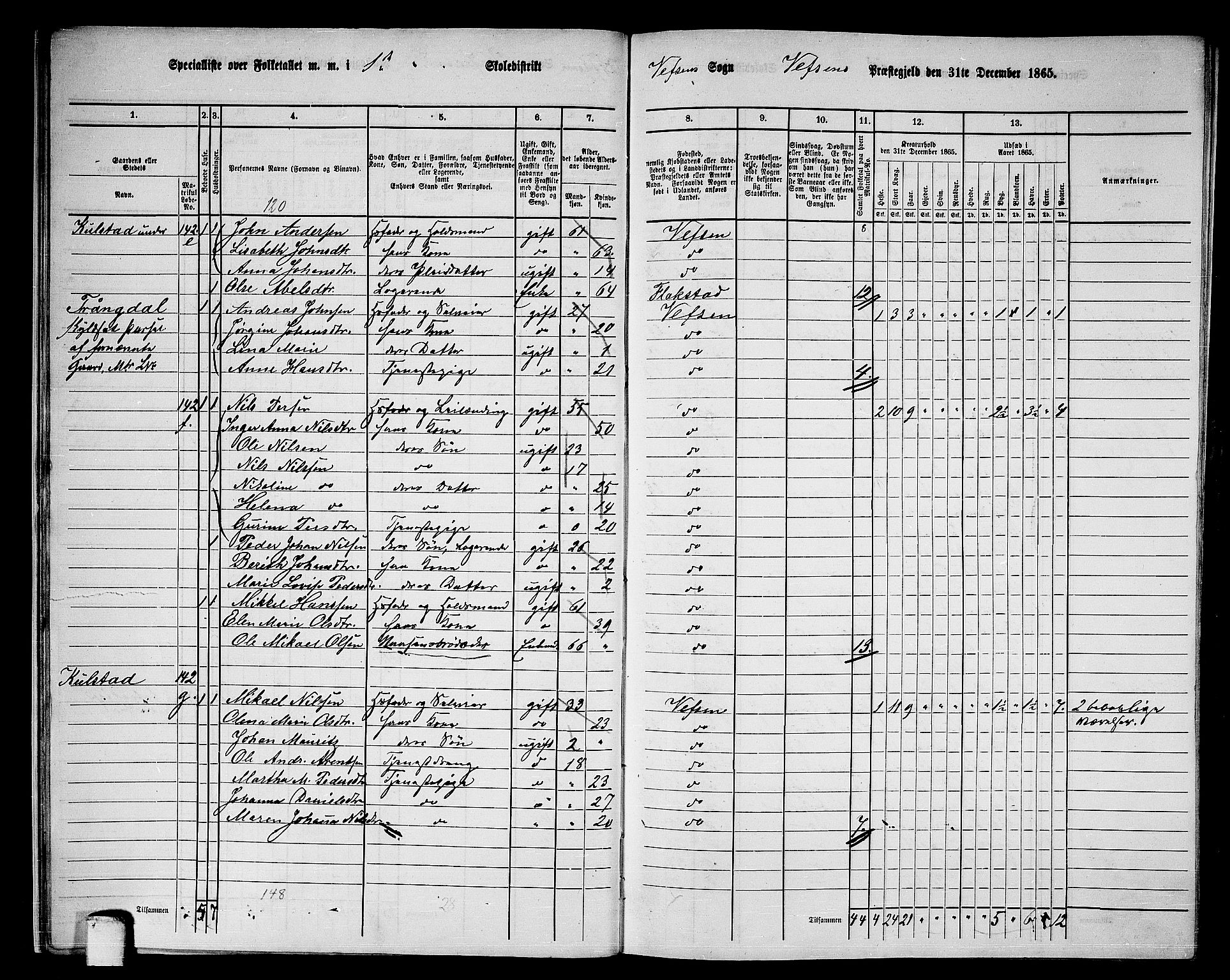 RA, 1865 census for Vefsn, 1865, p. 19