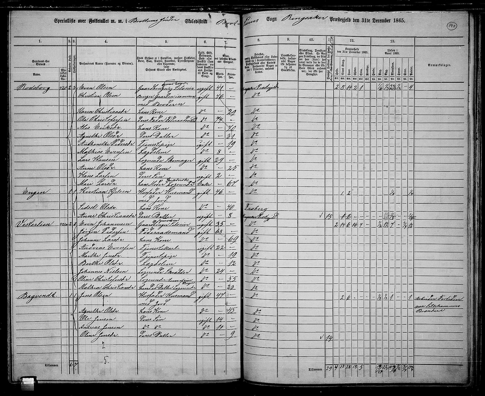 RA, 1865 census for Ringsaker, 1865, p. 432