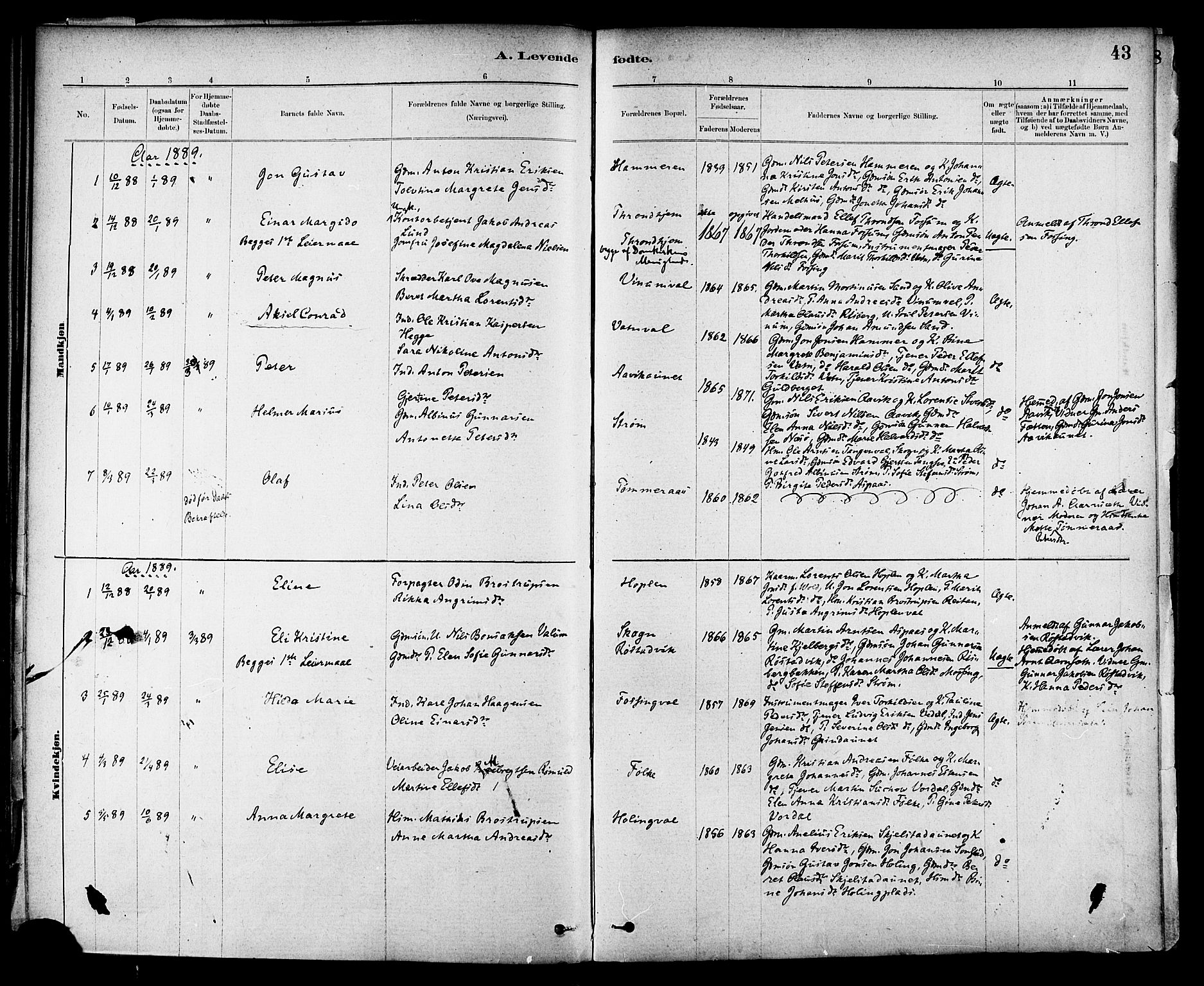 Ministerialprotokoller, klokkerbøker og fødselsregistre - Nord-Trøndelag, SAT/A-1458/714/L0130: Parish register (official) no. 714A01, 1878-1895, p. 43