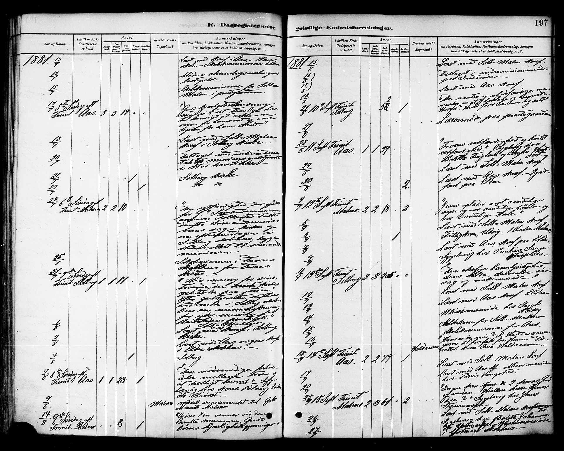 Ministerialprotokoller, klokkerbøker og fødselsregistre - Nord-Trøndelag, SAT/A-1458/741/L0395: Parish register (official) no. 741A09, 1878-1888, p. 197