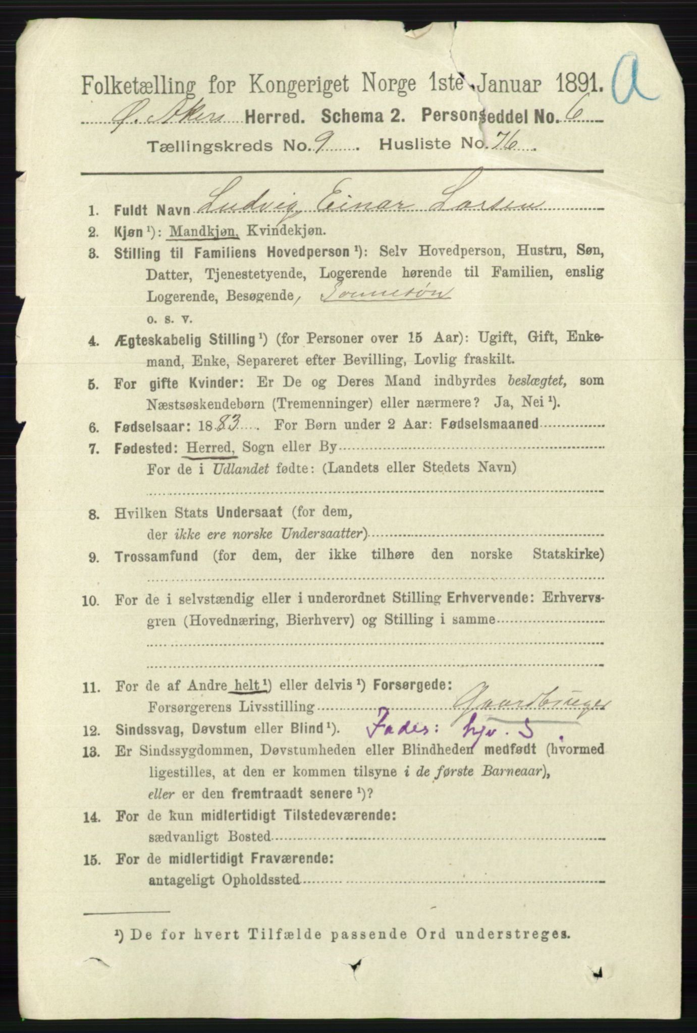 RA, 1891 census for 0218 Aker, 1891, p. 8799