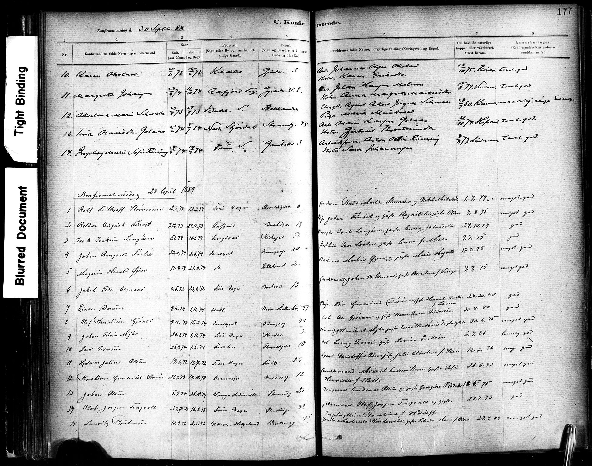 Ministerialprotokoller, klokkerbøker og fødselsregistre - Sør-Trøndelag, SAT/A-1456/602/L0119: Parish register (official) no. 602A17, 1880-1901, p. 177