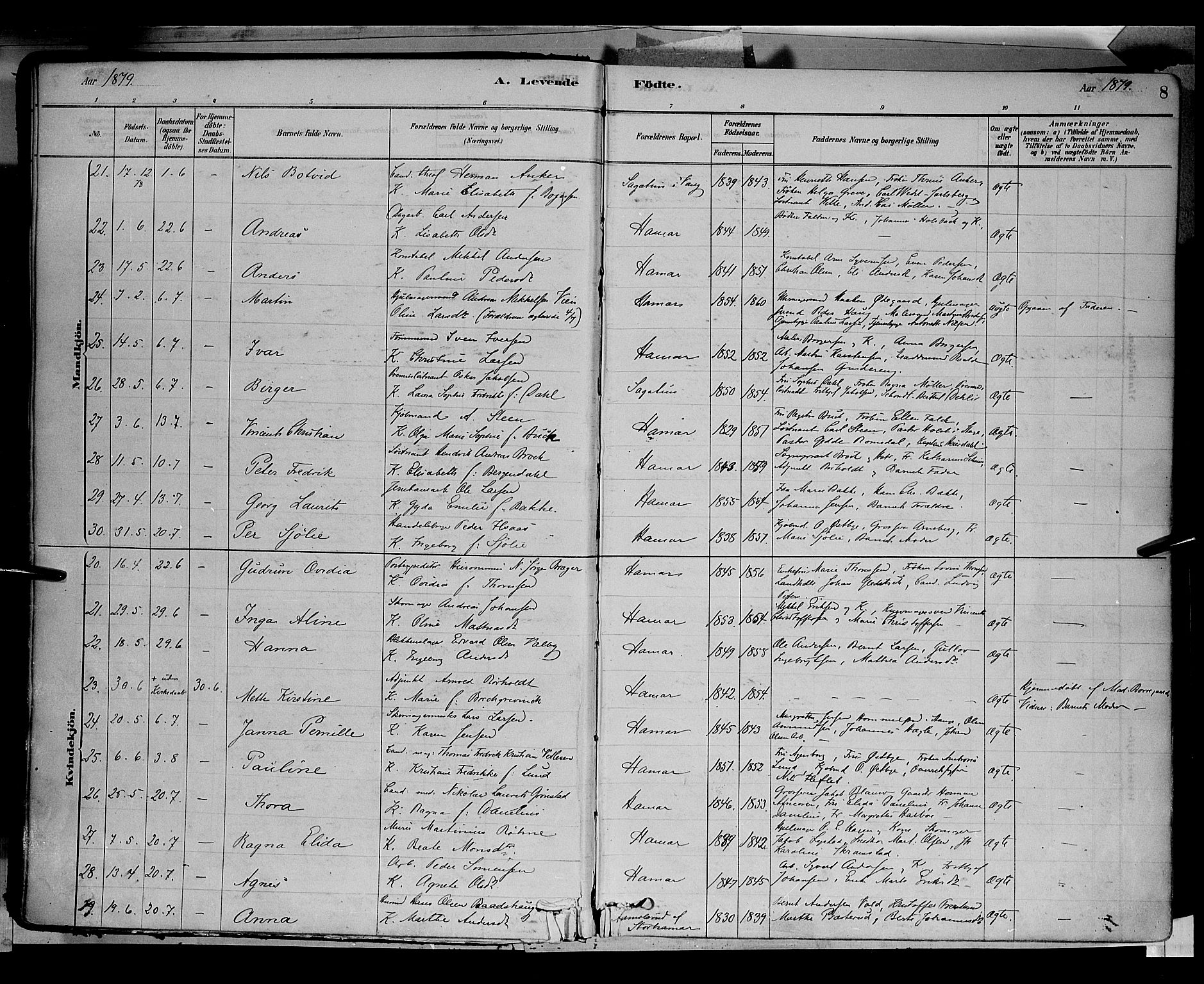 Vang prestekontor, Hedmark, AV/SAH-PREST-008/H/Ha/Haa/L0016: Parish register (official) no. 16, 1878-1889, p. 8