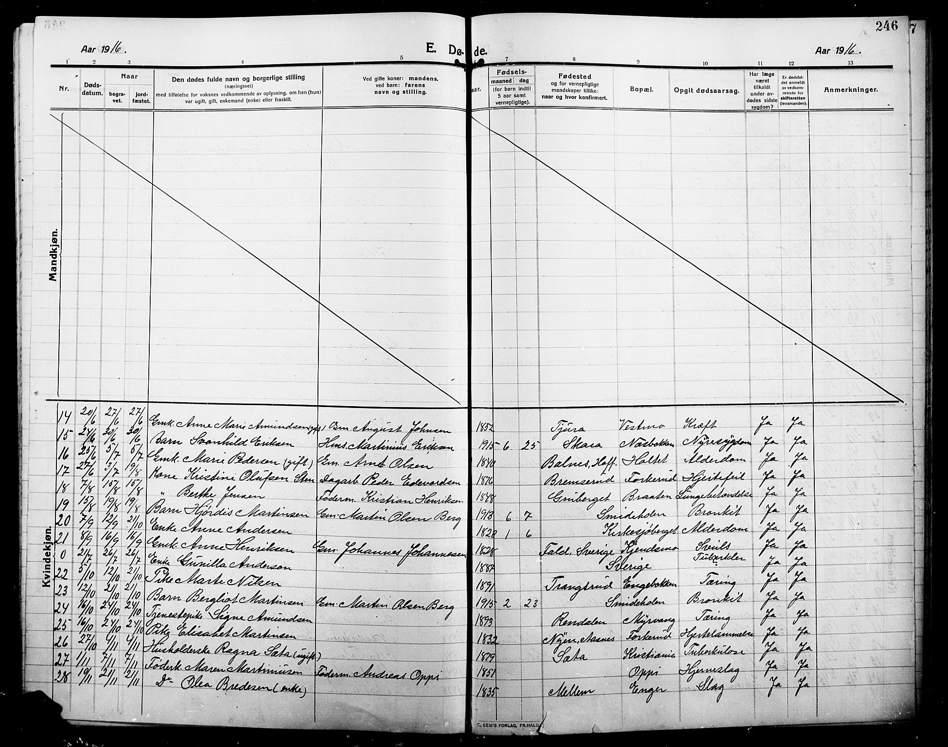 Grue prestekontor, AV/SAH-PREST-036/H/Ha/Hab/L0007: Parish register (copy) no. 7, 1910-1920, p. 246