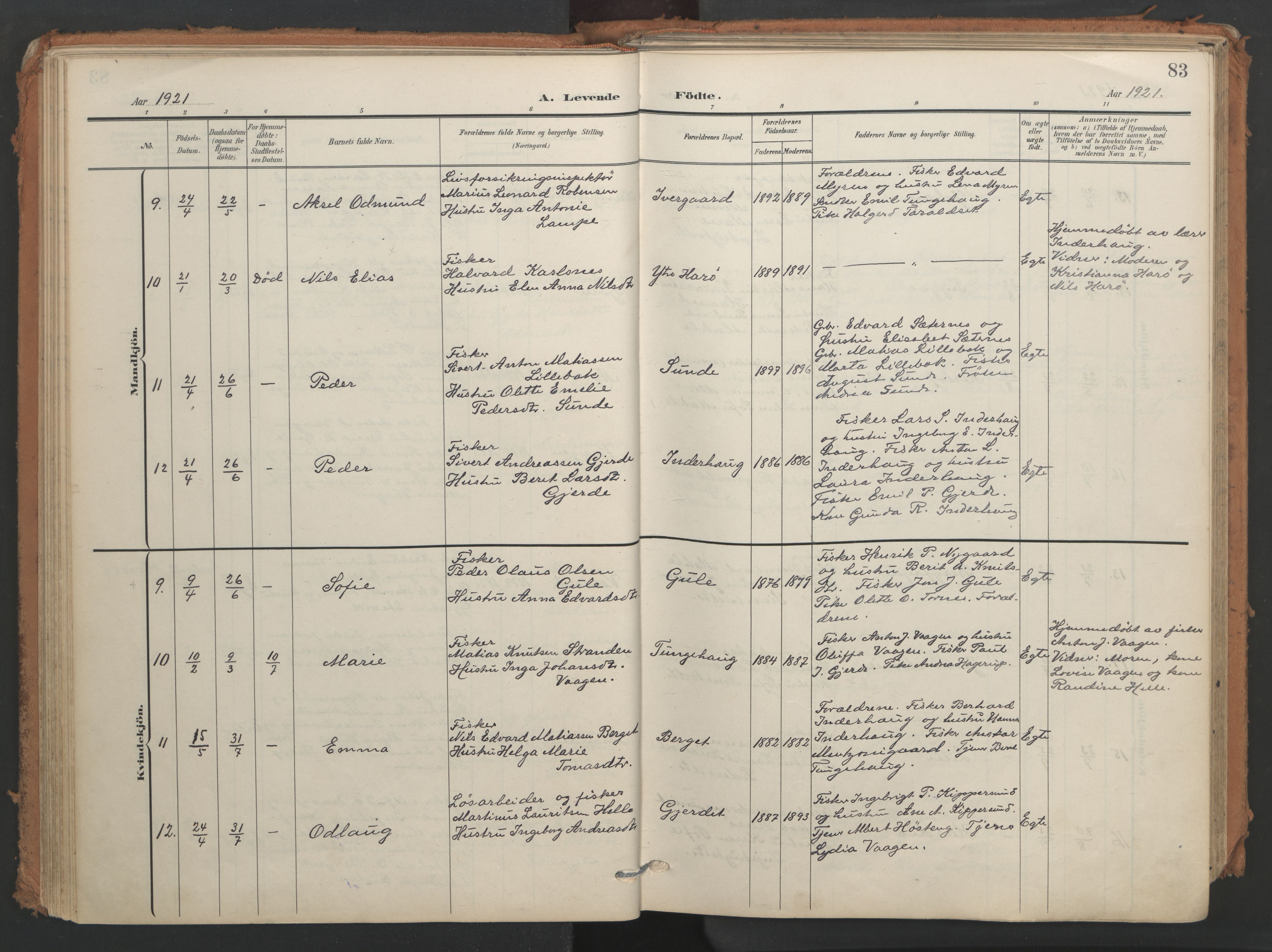 Ministerialprotokoller, klokkerbøker og fødselsregistre - Møre og Romsdal, AV/SAT-A-1454/566/L0771: Parish register (official) no. 566A10, 1904-1929, p. 83