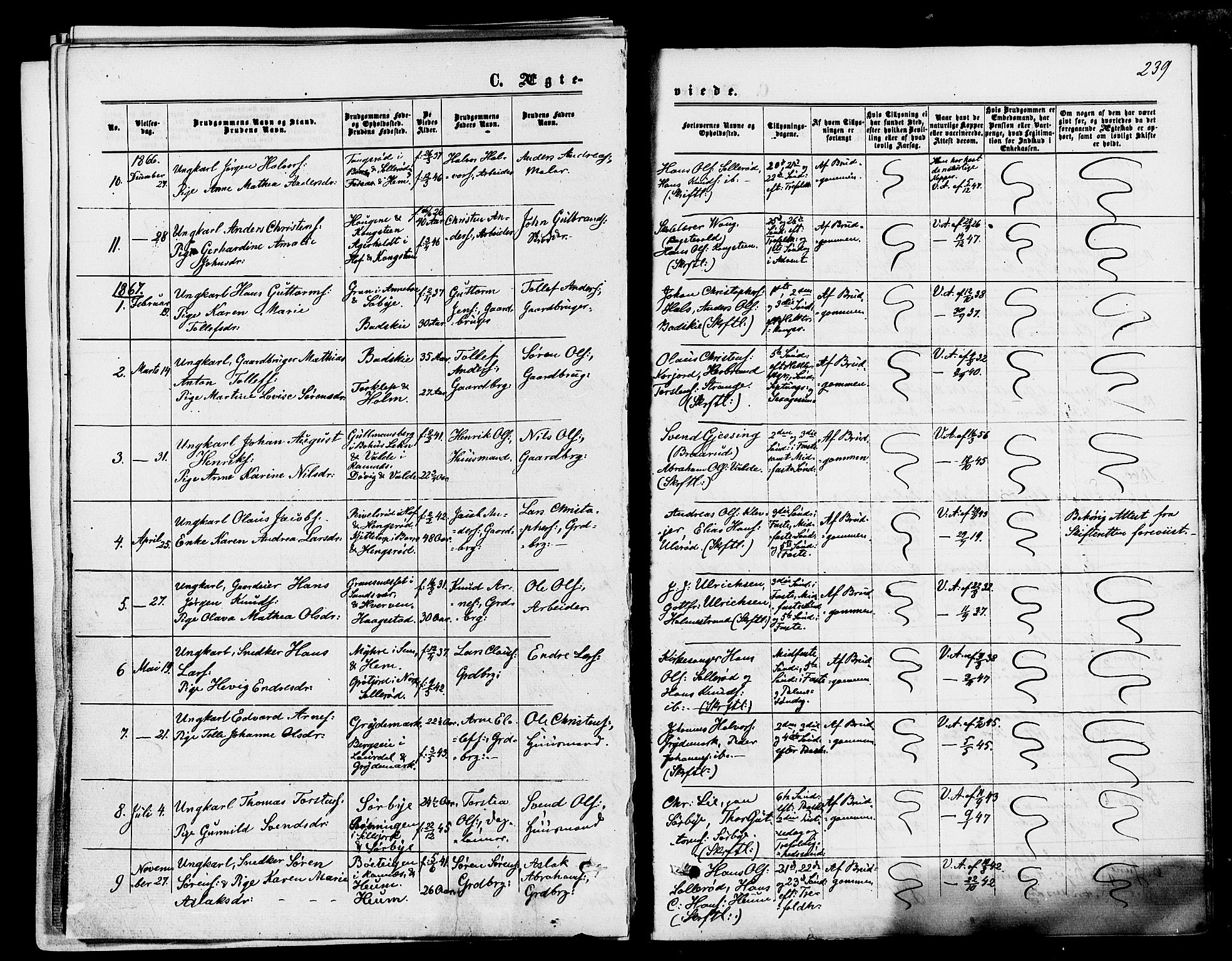 Våle kirkebøker, SAKO/A-334/F/Fa/L0010: Parish register (official) no. I 10, 1861-1877, p. 239