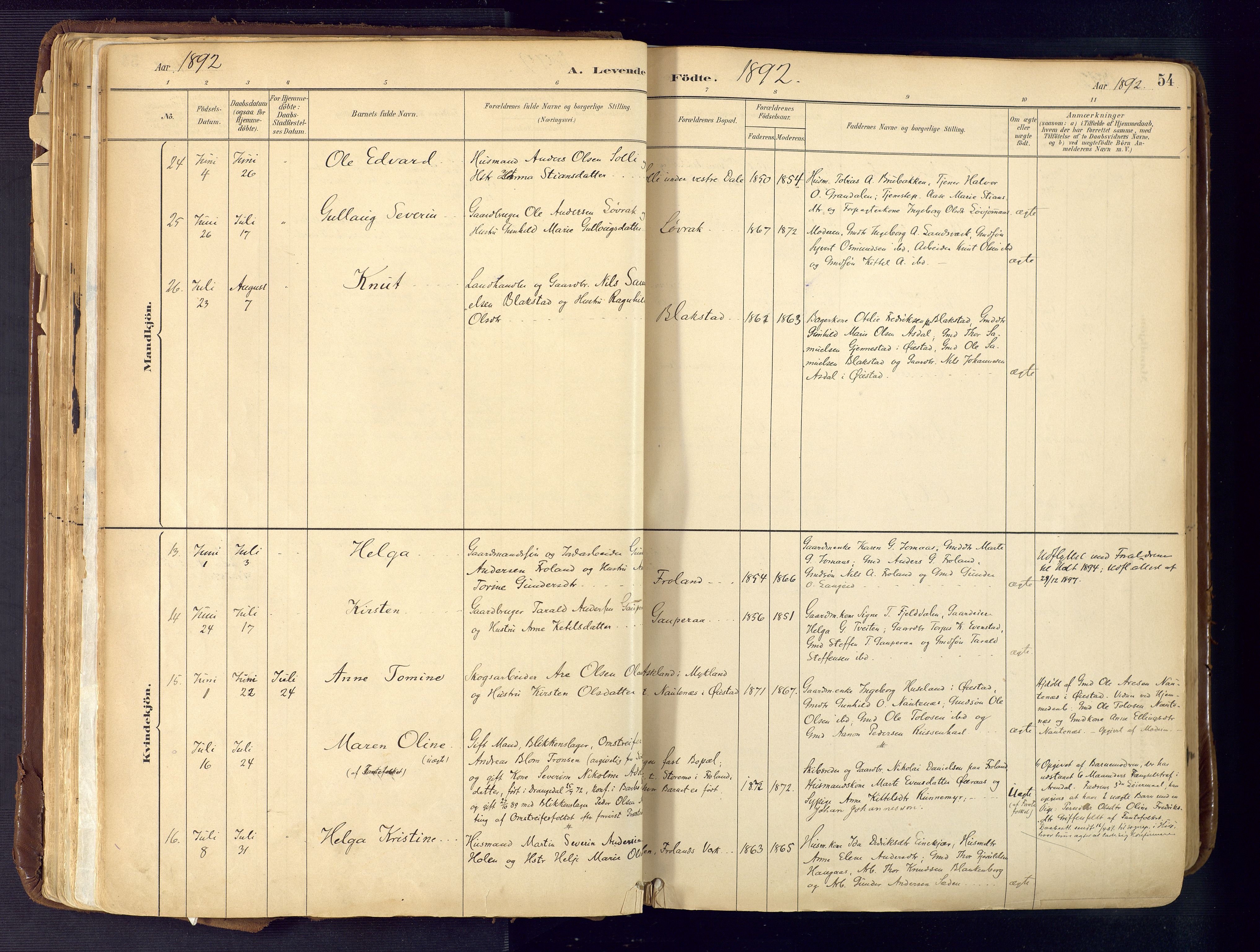 Froland sokneprestkontor, AV/SAK-1111-0013/F/Fa/L0005: Parish register (official) no. A 5, 1882-1921, p. 54