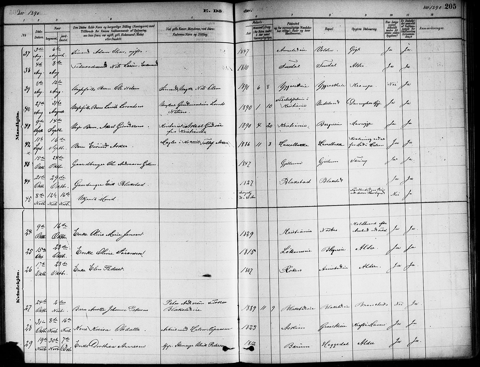 Asker prestekontor Kirkebøker, AV/SAO-A-10256a/F/Fa/L0013: Parish register (official) no. I 13, 1879-1896, p. 205