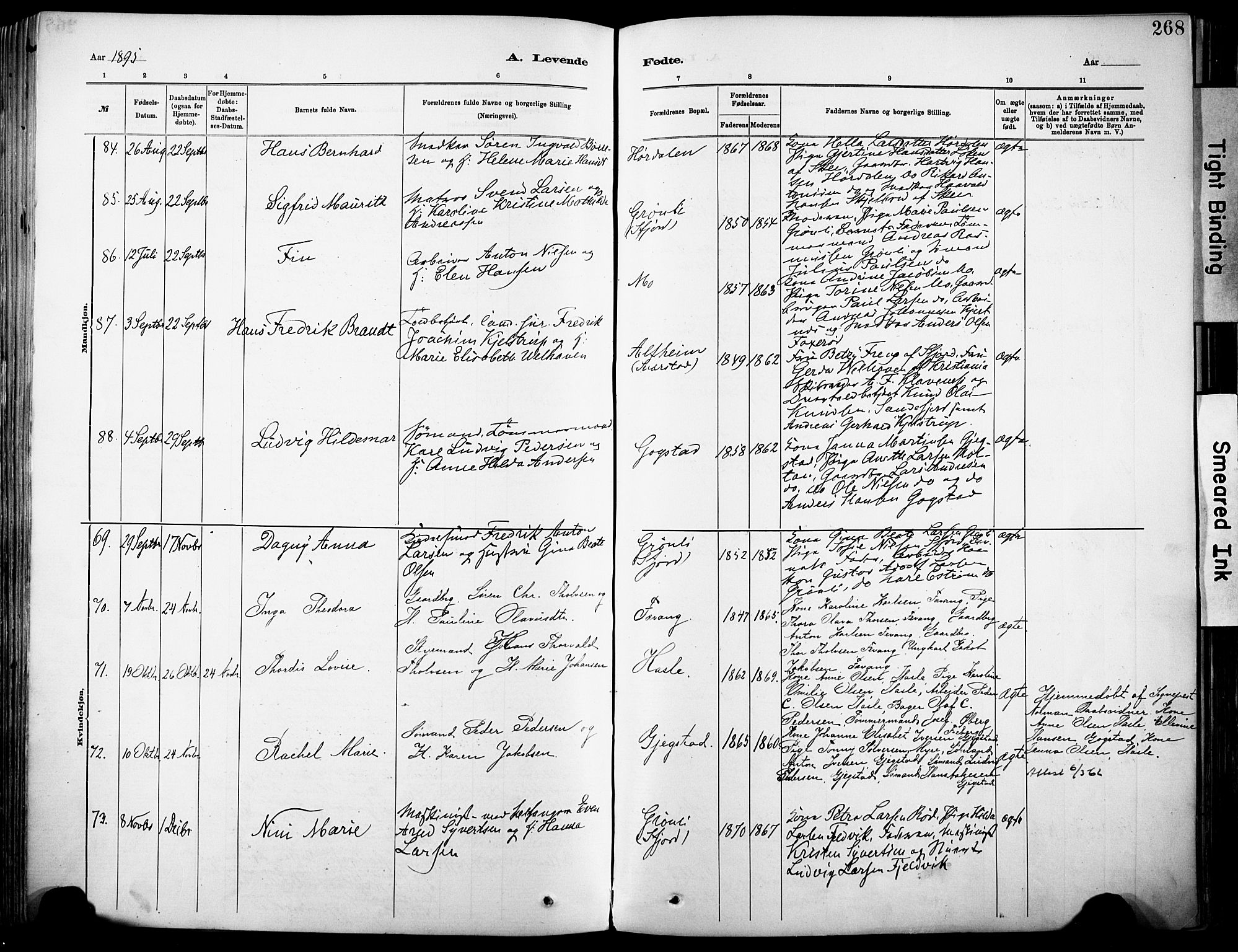 Sandar kirkebøker, AV/SAKO-A-243/F/Fa/L0012: Parish register (official) no. 12, 1883-1895, p. 268