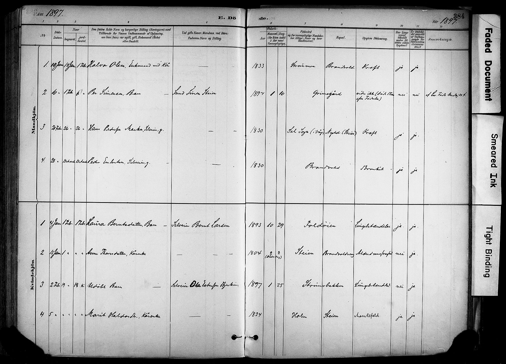 Alvdal prestekontor, SAH/PREST-060/H/Ha/Haa/L0002: Parish register (official) no. 2, 1883-1906, p. 384