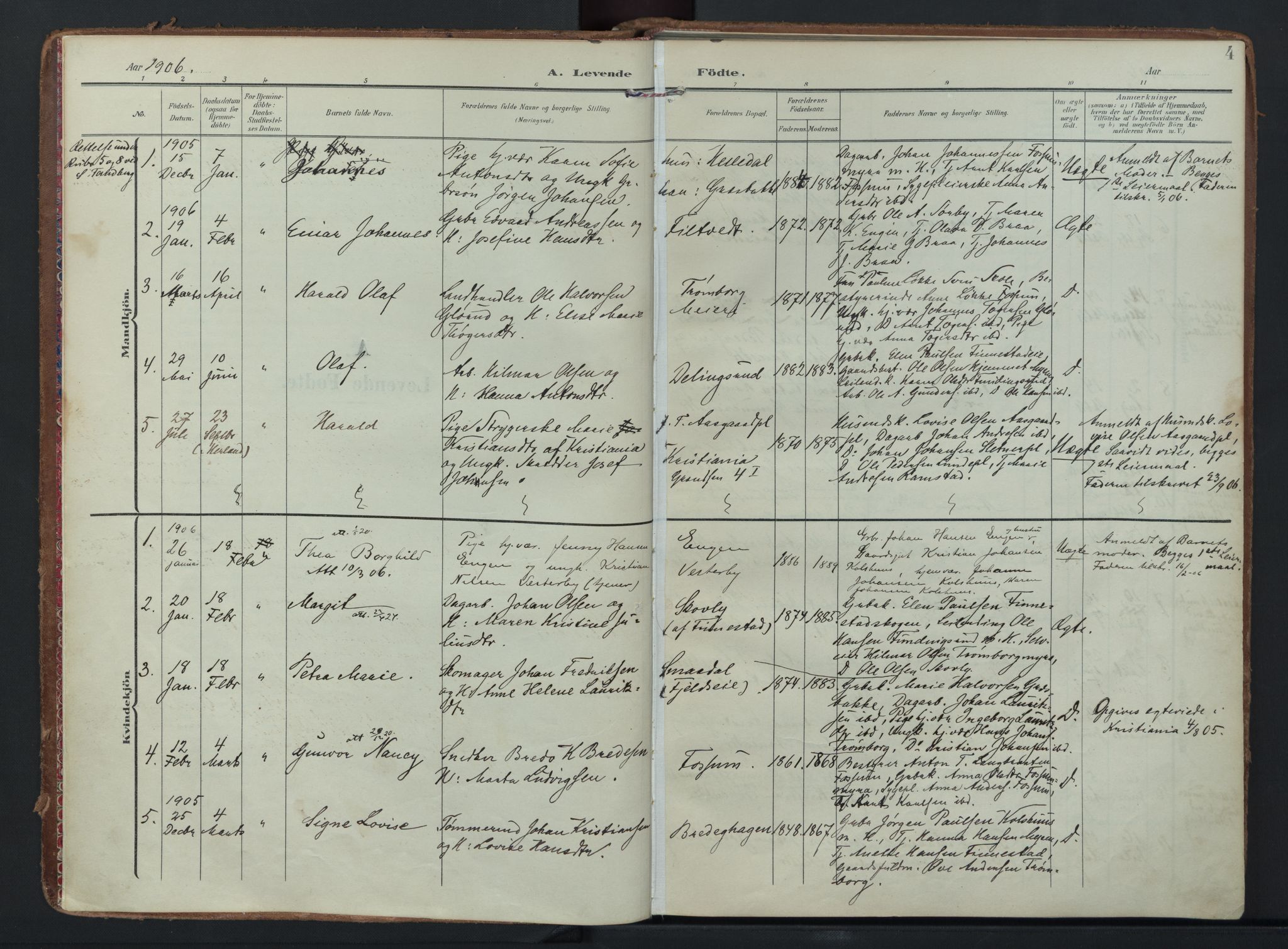 Eidsberg prestekontor Kirkebøker, SAO/A-10905/F/Fc/L0002: Parish register (official) no. III 2, 1906-1934, p. 4