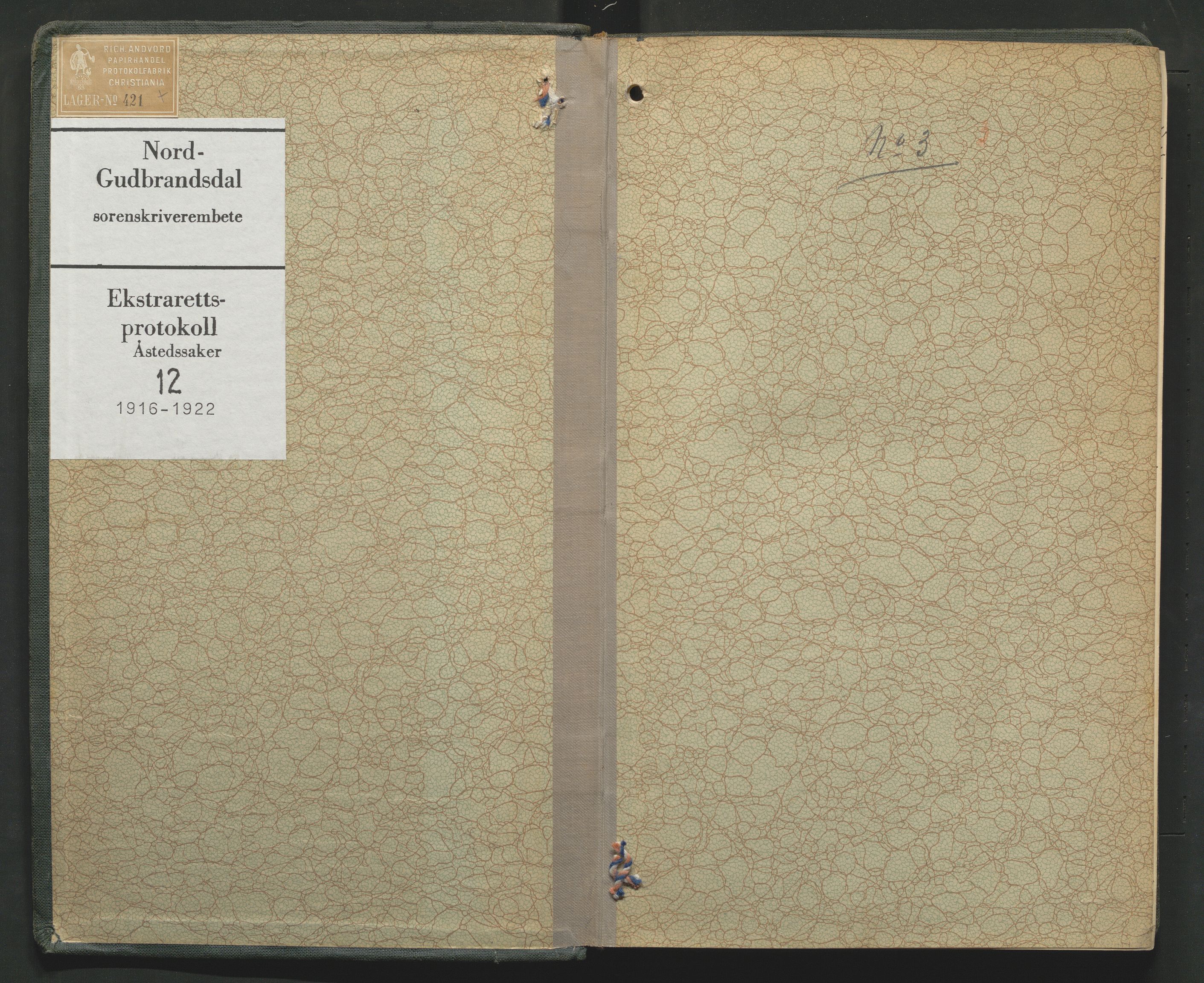 Nord-Gudbrandsdal tingrett, SAH/TING-002/G/Gc/Gcb/L0012: Ekstrarettsprotokoll for åstedssaker, 1916-1922