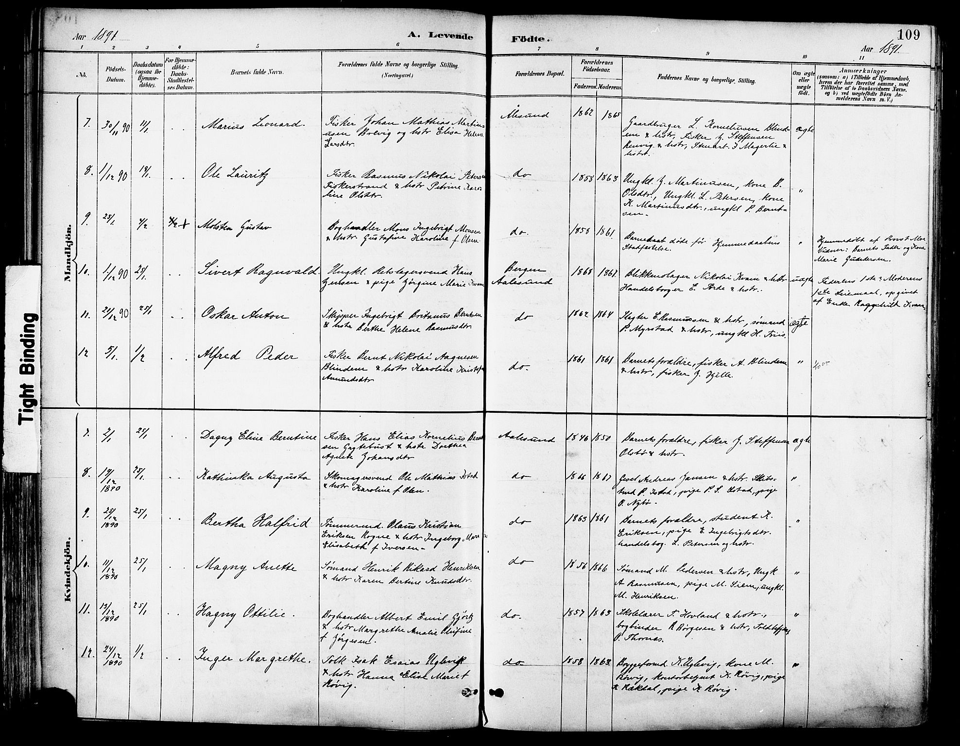 Ministerialprotokoller, klokkerbøker og fødselsregistre - Møre og Romsdal, AV/SAT-A-1454/529/L0455: Parish register (official) no. 529A05, 1885-1893, p. 109