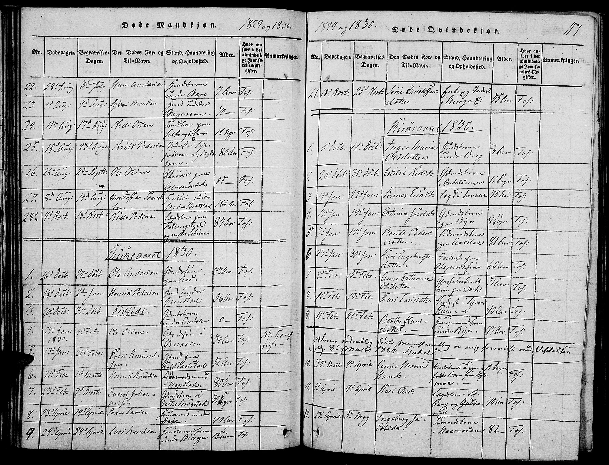 Vardal prestekontor, SAH/PREST-100/H/Ha/Haa/L0004: Parish register (official) no. 4, 1814-1831, p. 117