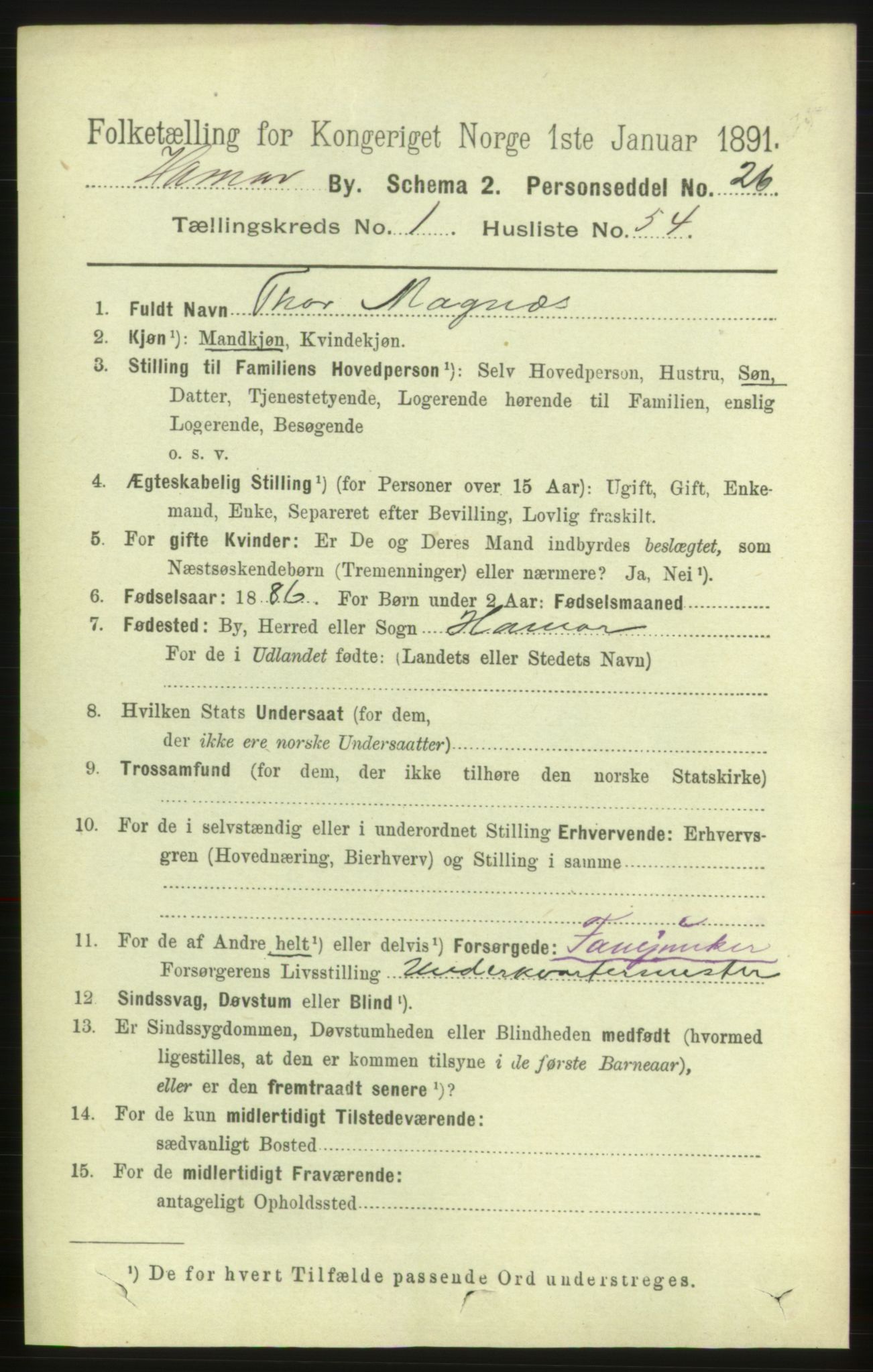 RA, 1891 census for 0401 Hamar, 1891, p. 960