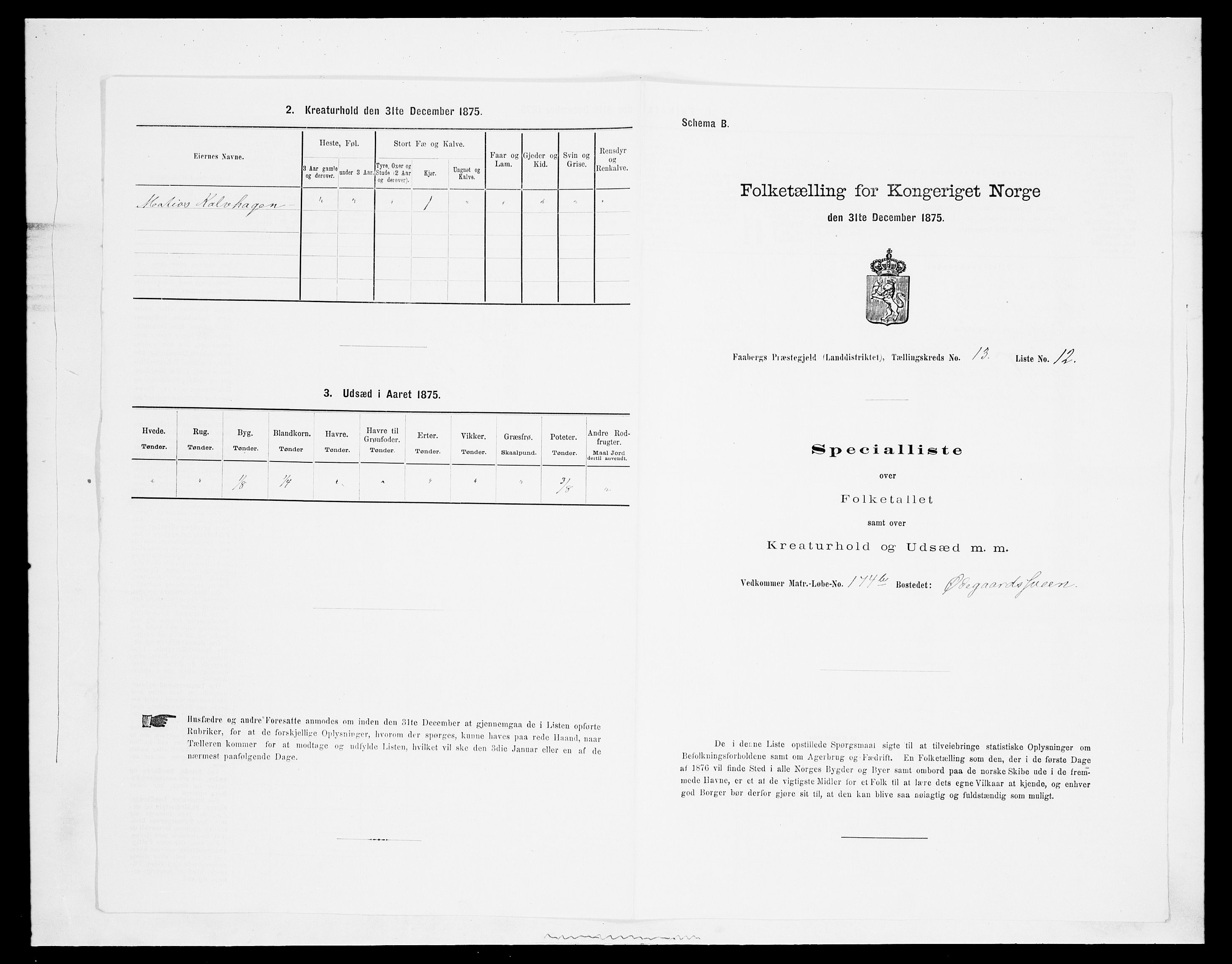 SAH, 1875 census for 0524L Fåberg/Fåberg og Lillehammer, 1875, p. 1596