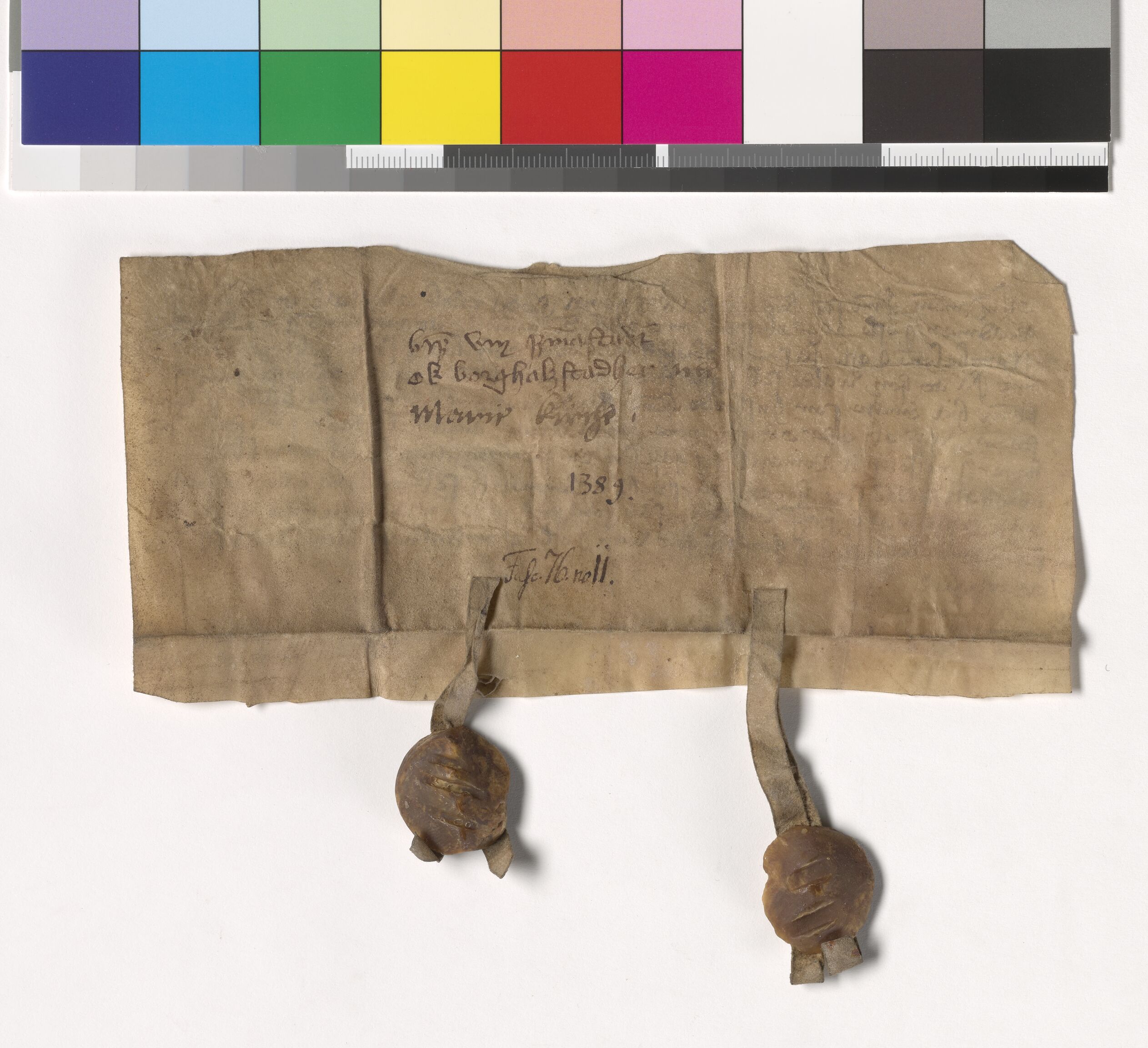 Riksarkivets diplomsamling, AV/RA-EA-5965/F05/L0187: NRA AM fasc. 75 nr. 20 - fasc. 76 nr. 12, 1388-1389, p. 10