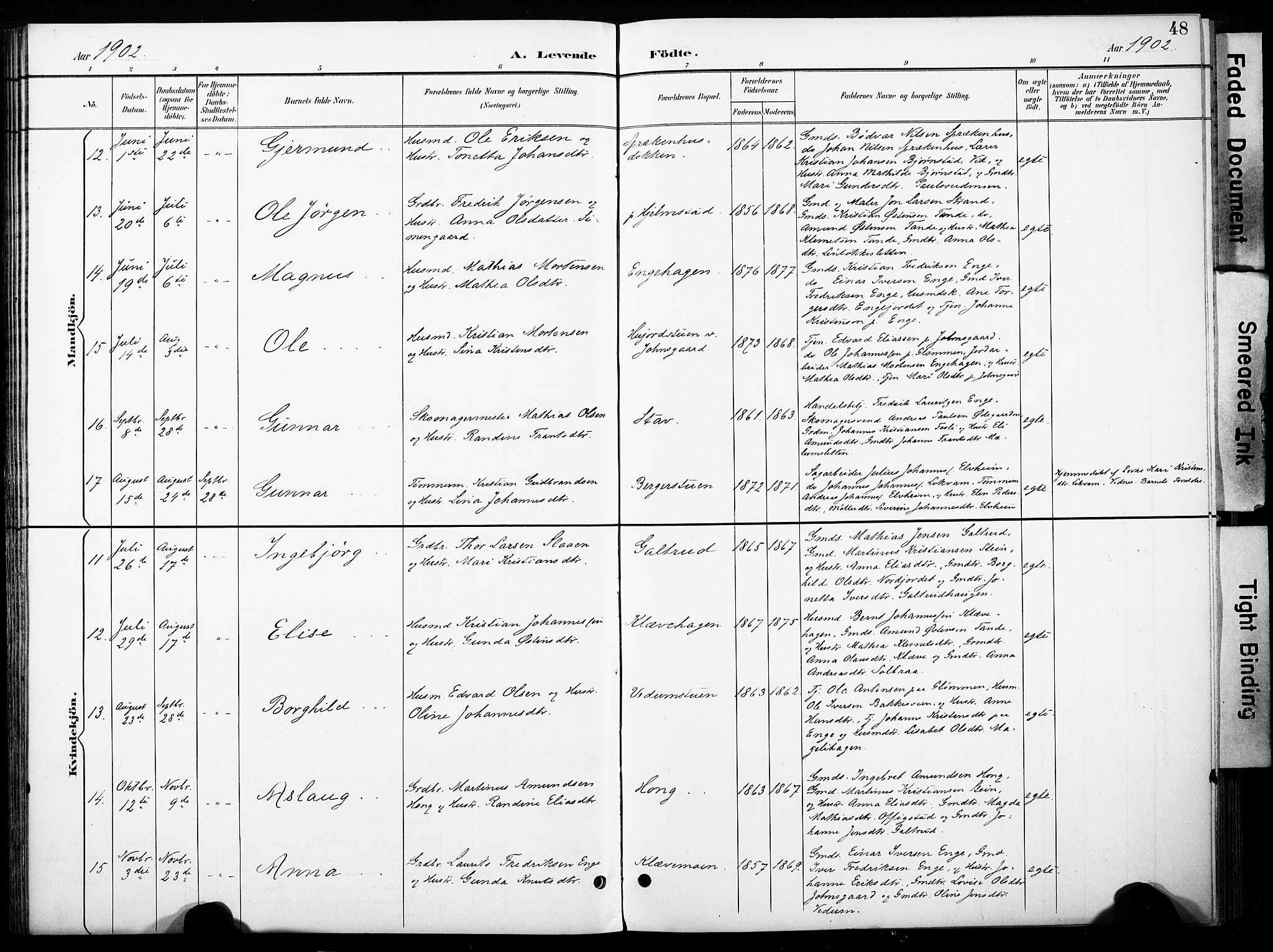 Øyer prestekontor, AV/SAH-PREST-084/H/Ha/Haa/L0011: Parish register (official) no. 11, 1894-1905, p. 48