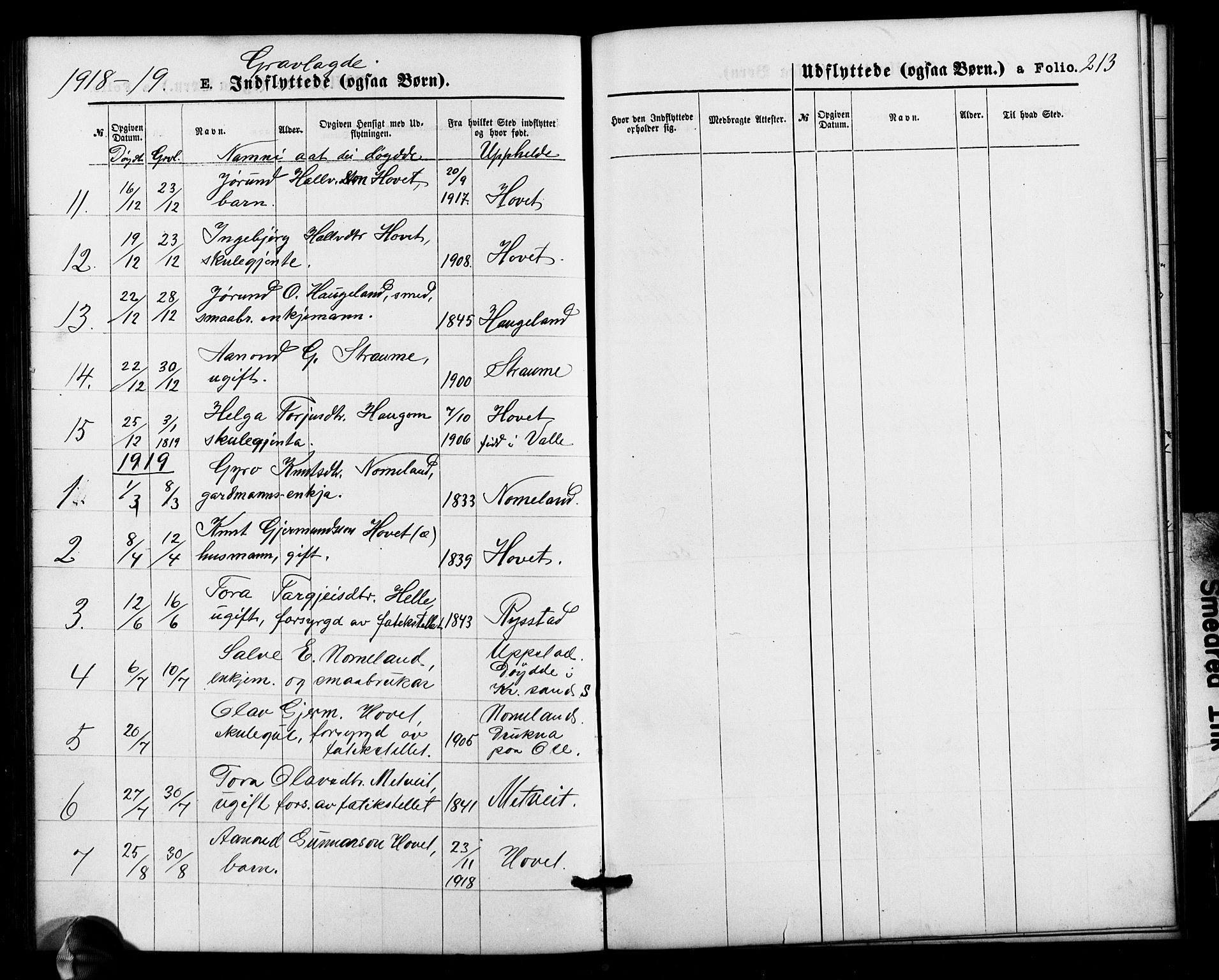 Valle sokneprestkontor, SAK/1111-0044/F/Fb/Fbb/L0002: Parish register (copy) no. B 2, 1875-1921, p. 213