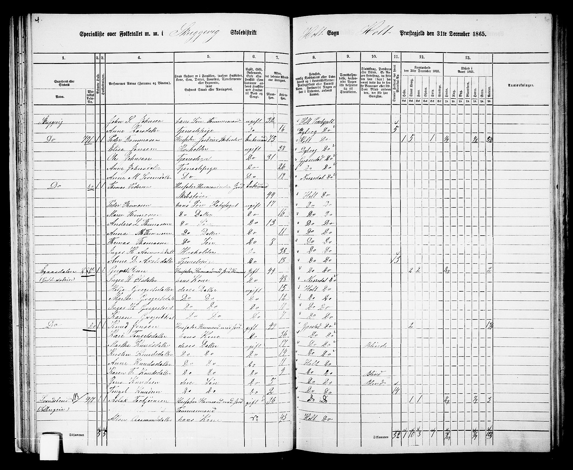 RA, 1865 census for Holt/Holt, 1865, p. 32